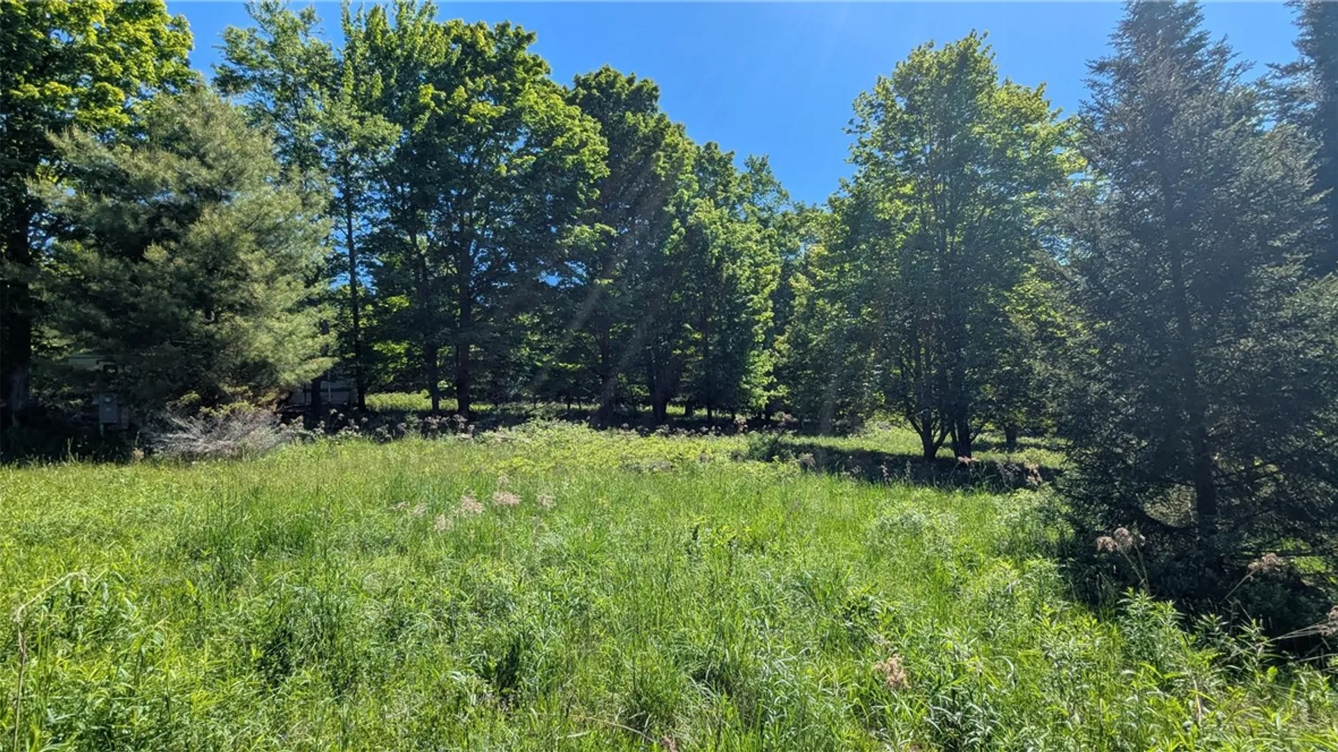 Property at 156 Akita Road, Jefferson, NY 12093 11