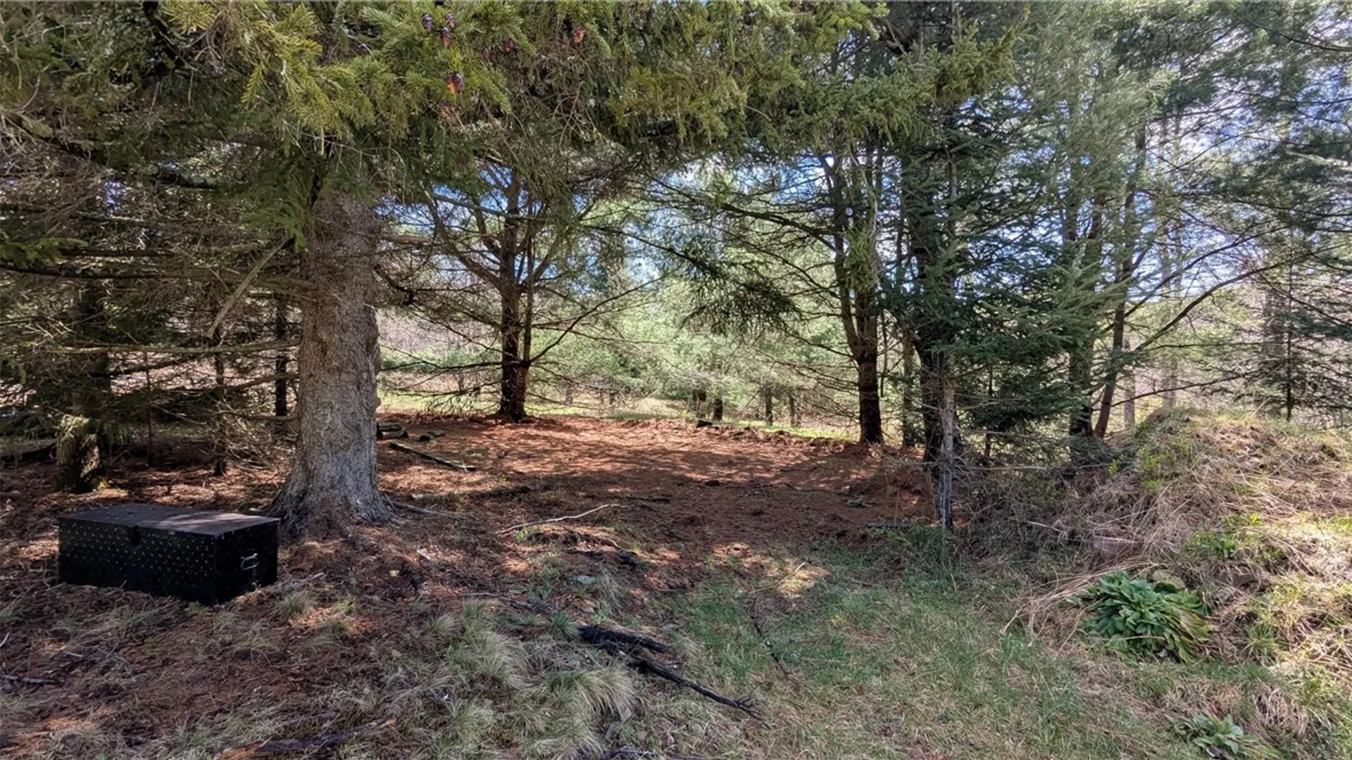 Property at 156 Akita Road, Jefferson, NY 12093 12