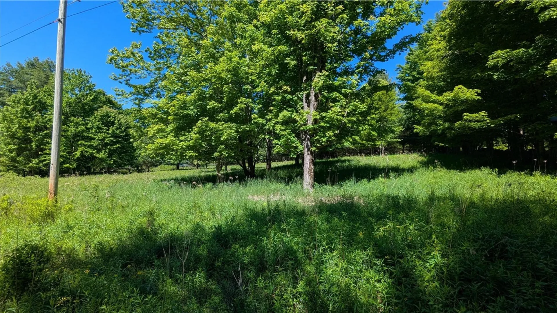 Property at 156 Akita Road, Jefferson, NY 12093 15
