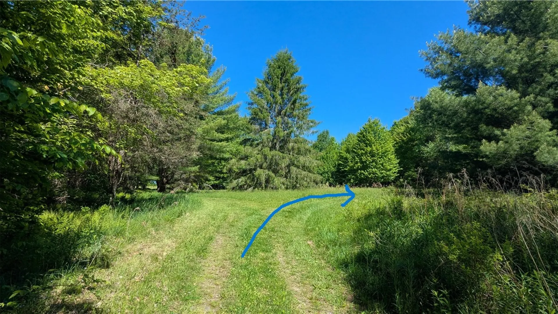 Property at 156 Akita Road, Jefferson, NY 12093 21