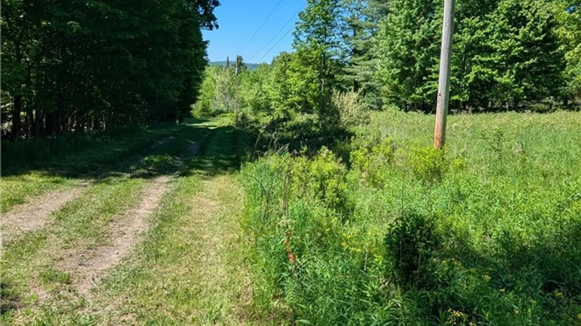Property at 156 Akita Road, Jefferson, NY 12093 27