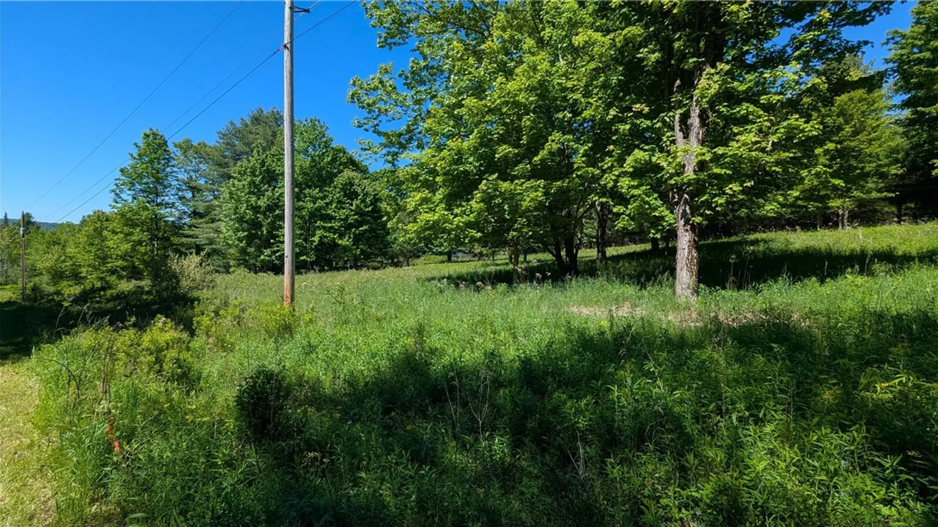 Property at 156 Akita Road, Jefferson, NY 12093 3