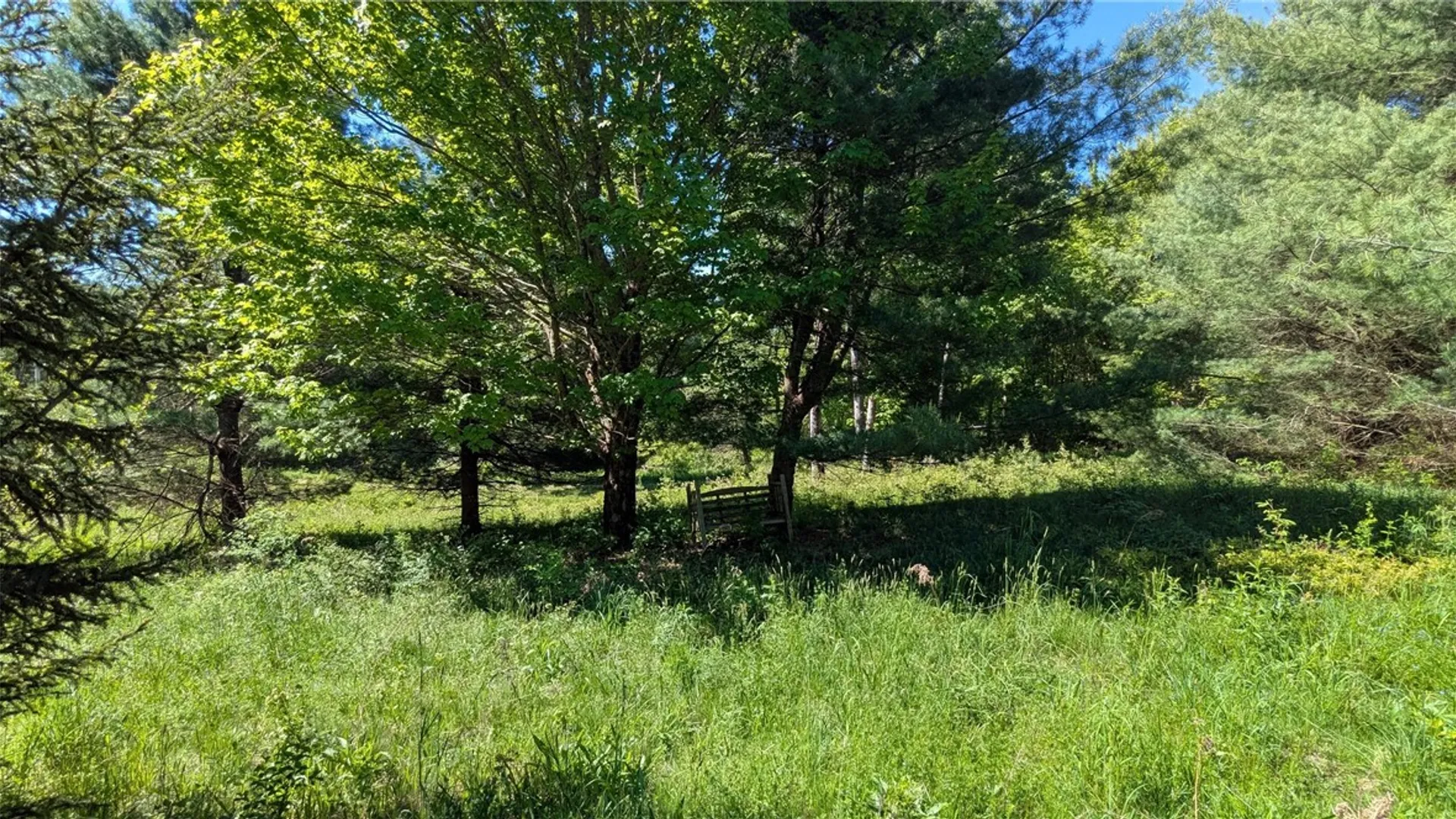 Property at 156 Akita Road, Jefferson, NY 12093 4