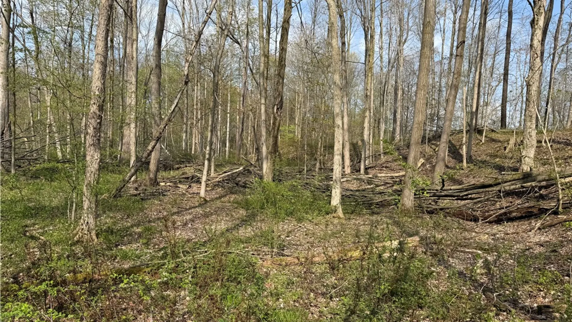 Property at 14245 Collin Ctr Zoar Road, Collins, NY 14034 13