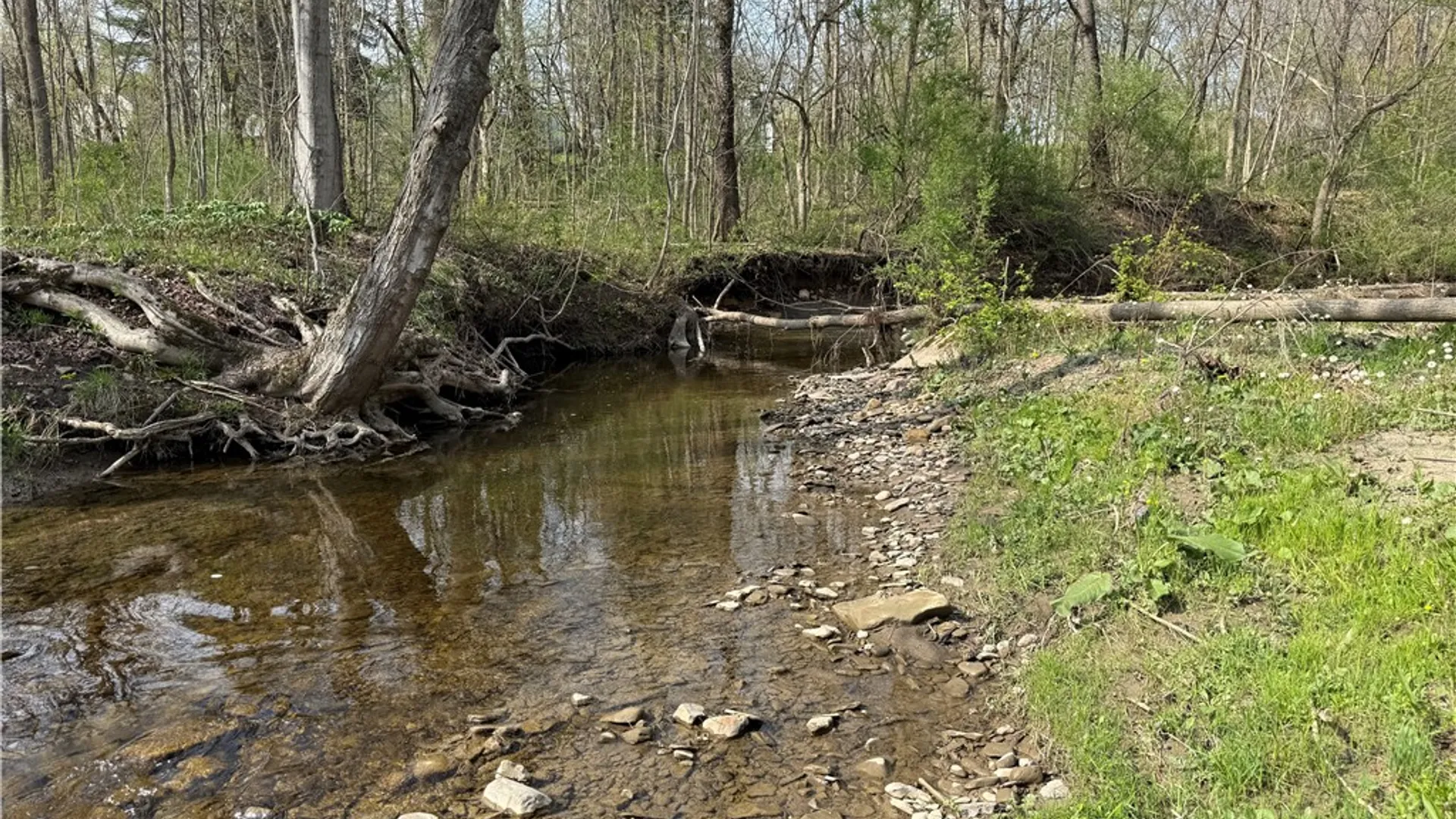 Property at 14245 Collin Ctr Zoar Road, Collins, NY 14034 15