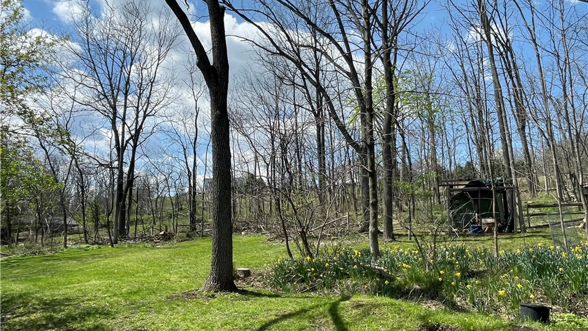 Property at 4190 County Road 16, Canandaigua Town, NY 14424 36