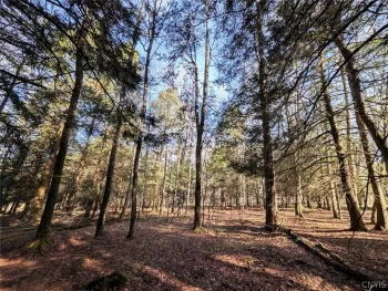 Property at 2788 Williamson Road, Greenwood, NY 14839