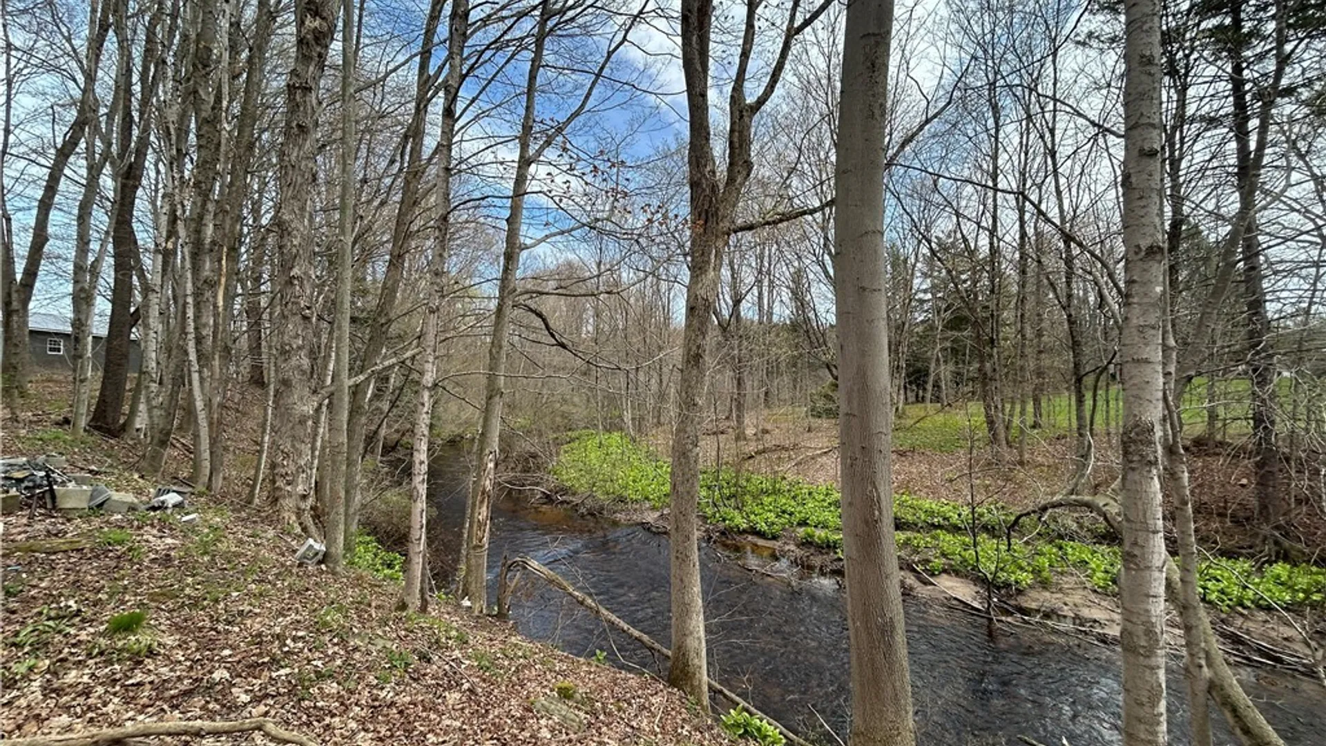 Property at 292 Towne Road, Albion, NY 13142 8