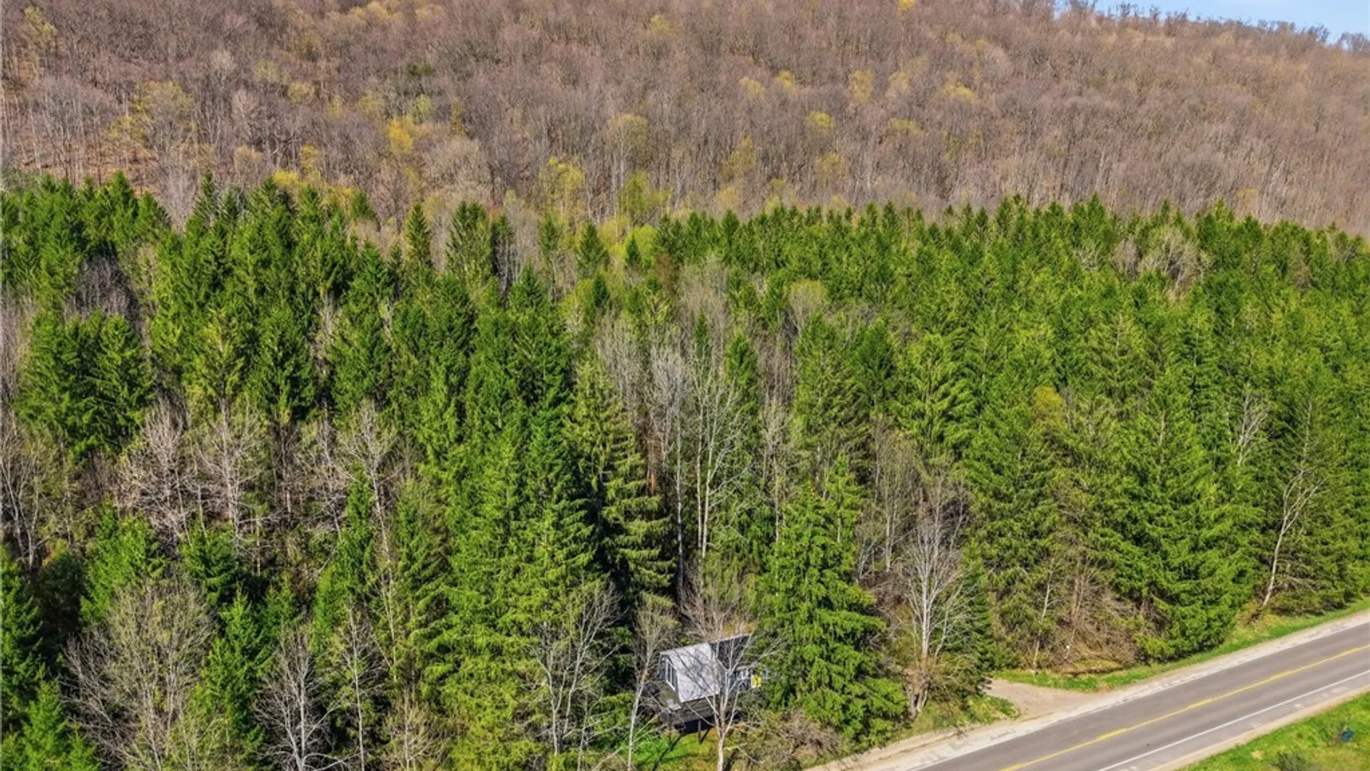 Property at 6912 Ellicottville Maples Road, Mansfield, NY 14731 27