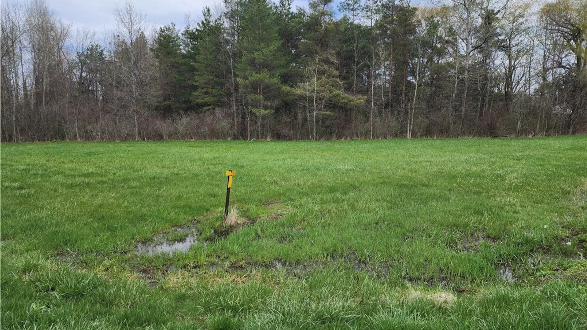 Property at Gabbey Road, Pembroke, NY 14036 5
