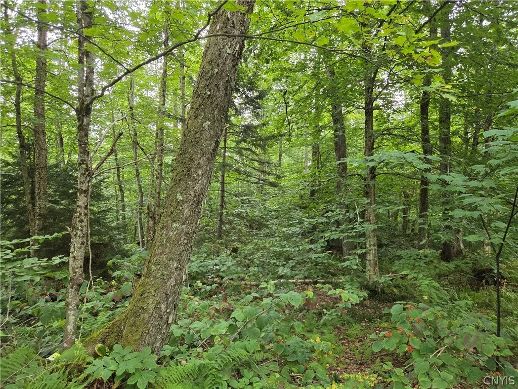 Property at 000 William Ernst Road, Lewis, NY 12950