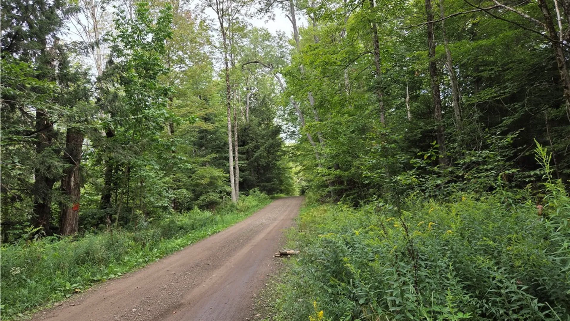 Property at 000 William Ernst Road, Lewis, NY 12950 3