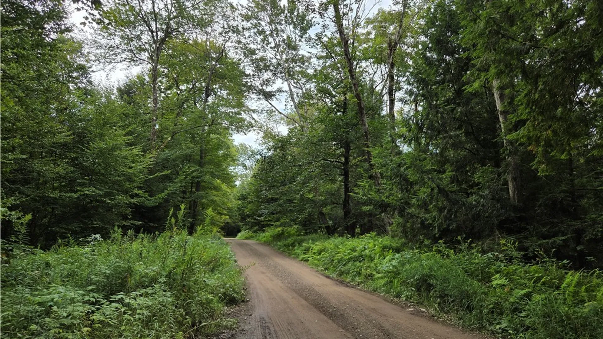 Property at 000 William Ernst Road, Lewis, NY 12950 4