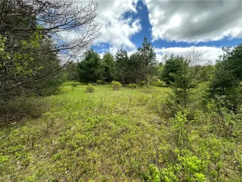 Property at 0 Pine Tree Road, Pittsfield, NY 13411