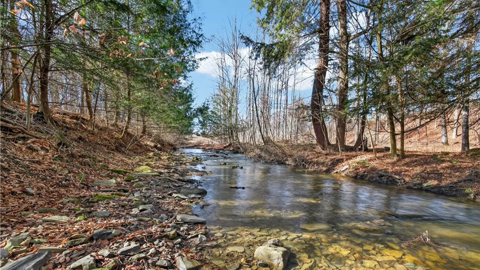 Property at 5058 Barrett Road, Cameron, NY 14819 32