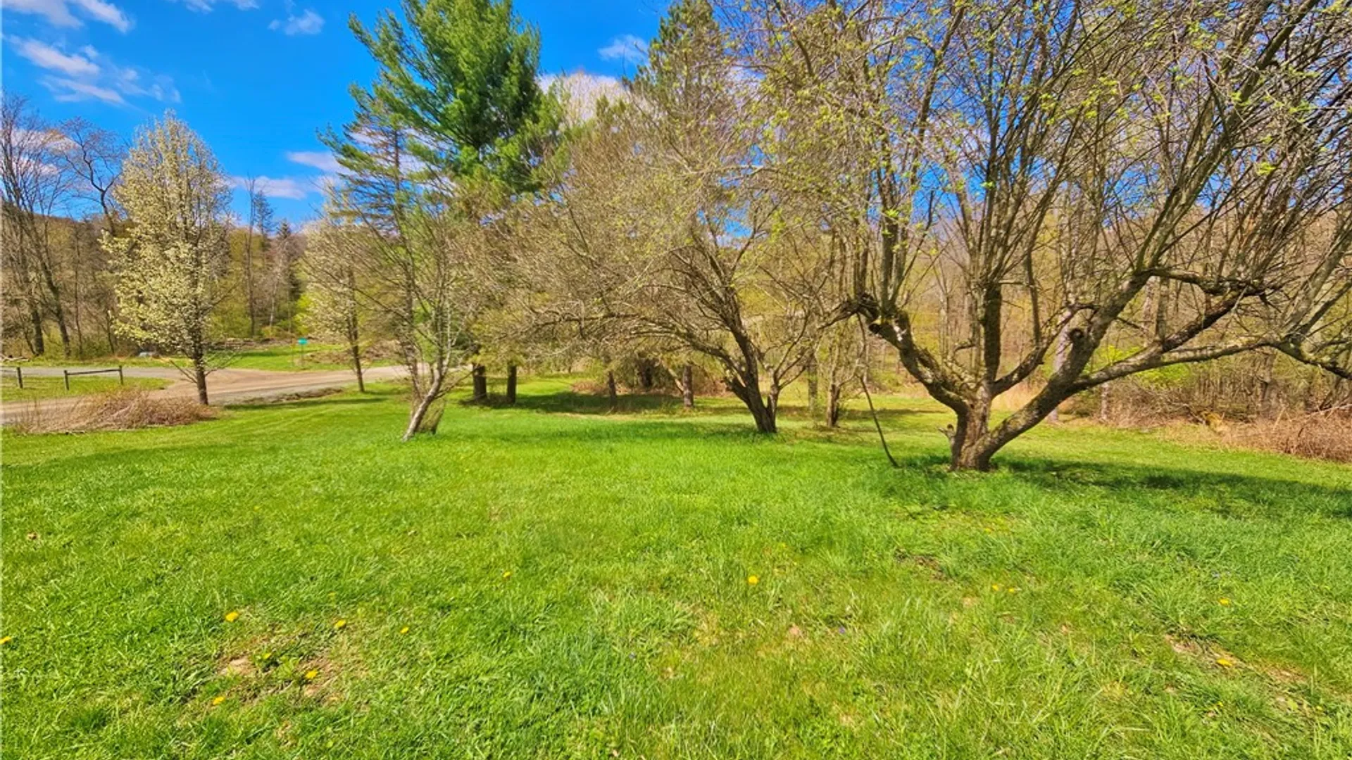 Property at 5058 Barrett Road, Cameron, NY 14819 43