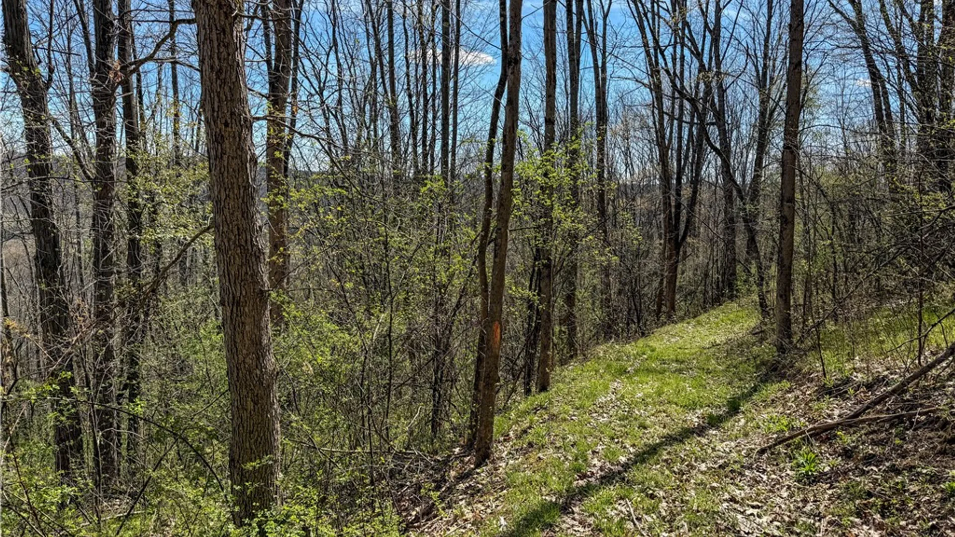 Property at VL WP01 County Road 16, Angelica, NY 14709 27