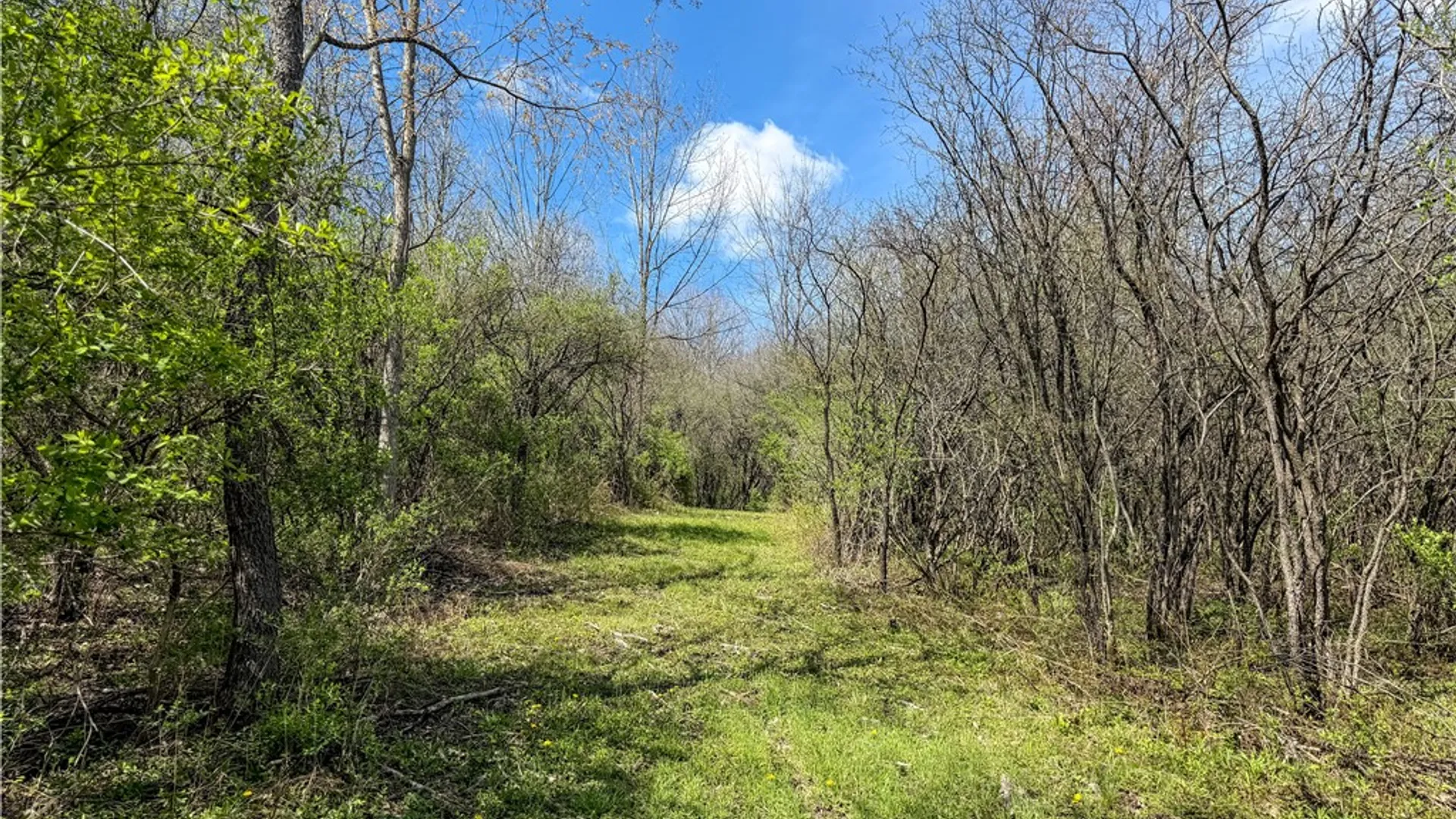 Property at VL WP01 County Road 16, Angelica, NY 14709 30