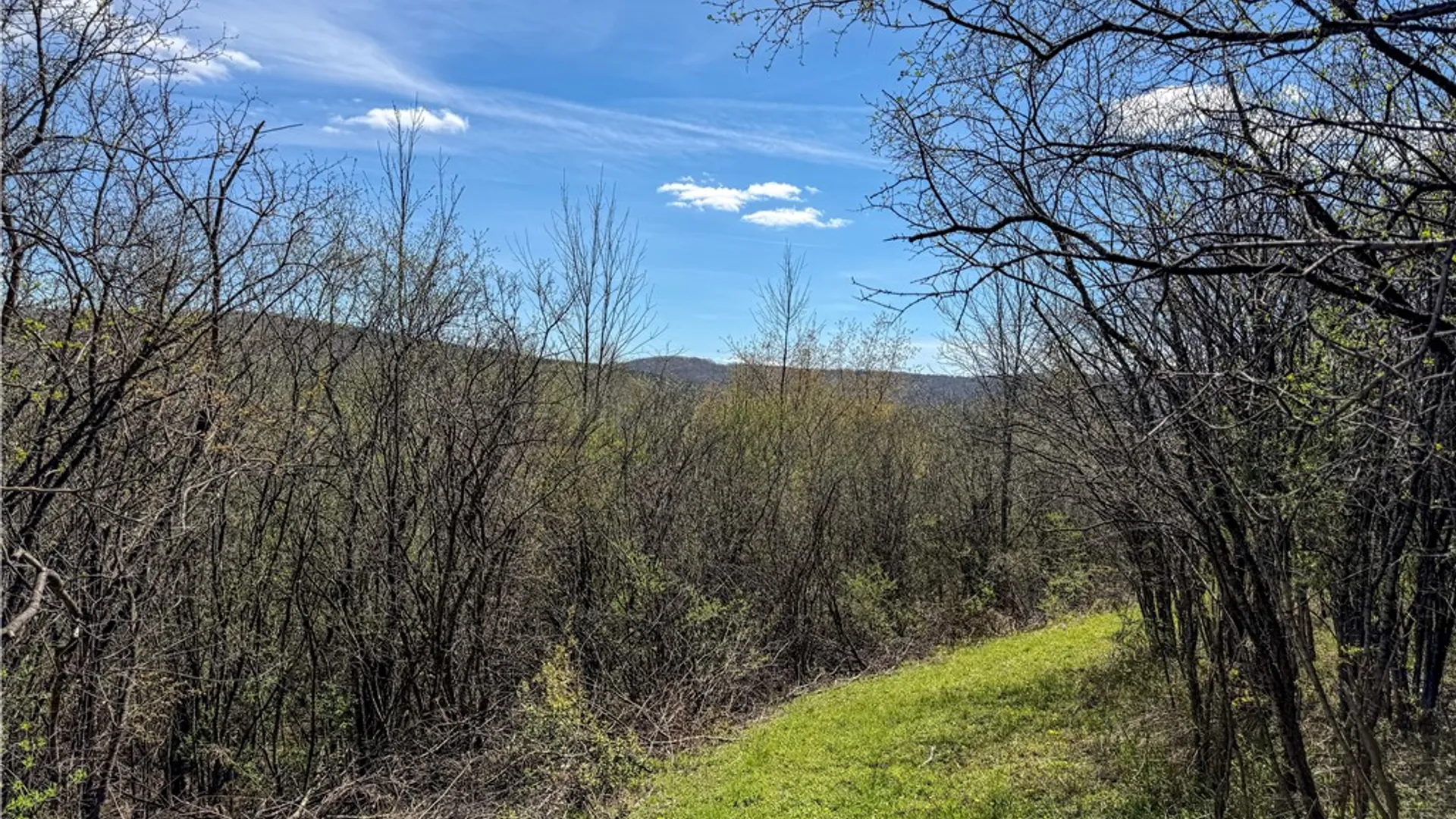 Property at VL WP01 County Road 16, Angelica, NY 14709 31