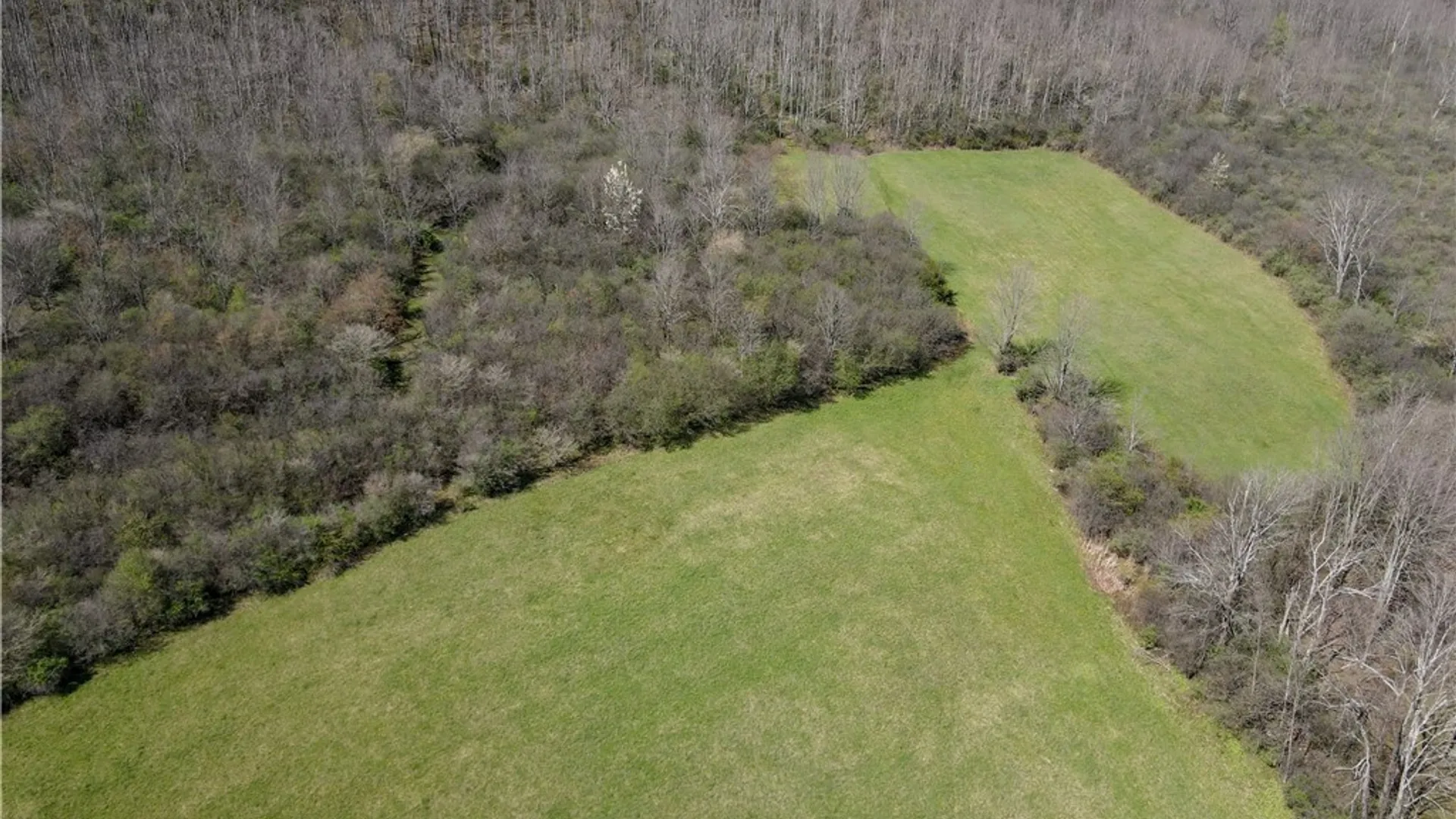 Property at VL WP01 County Road 16, Angelica, NY 14709 5