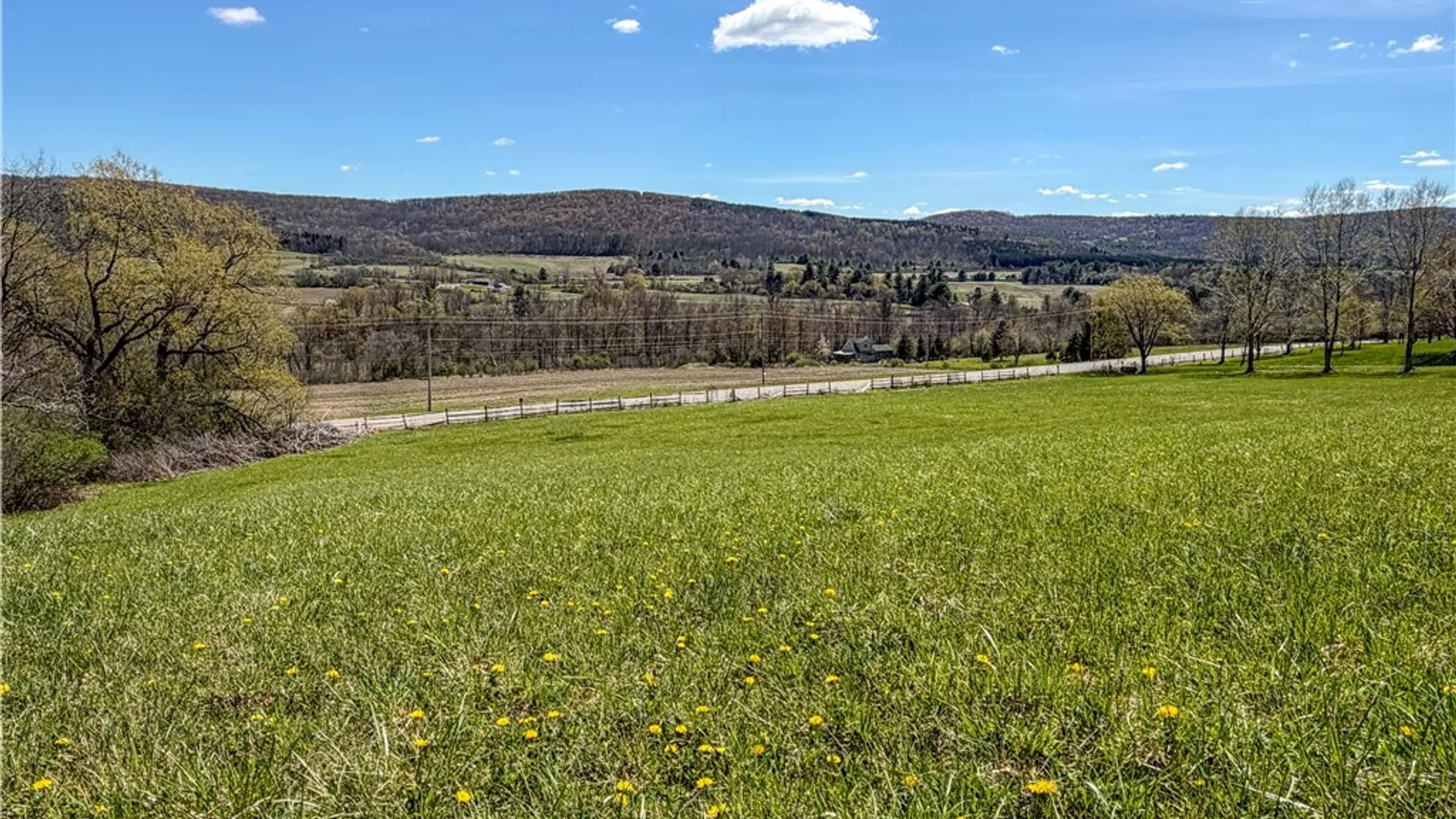 Property at VL WP01 County Road 16, Angelica, NY 14709 9