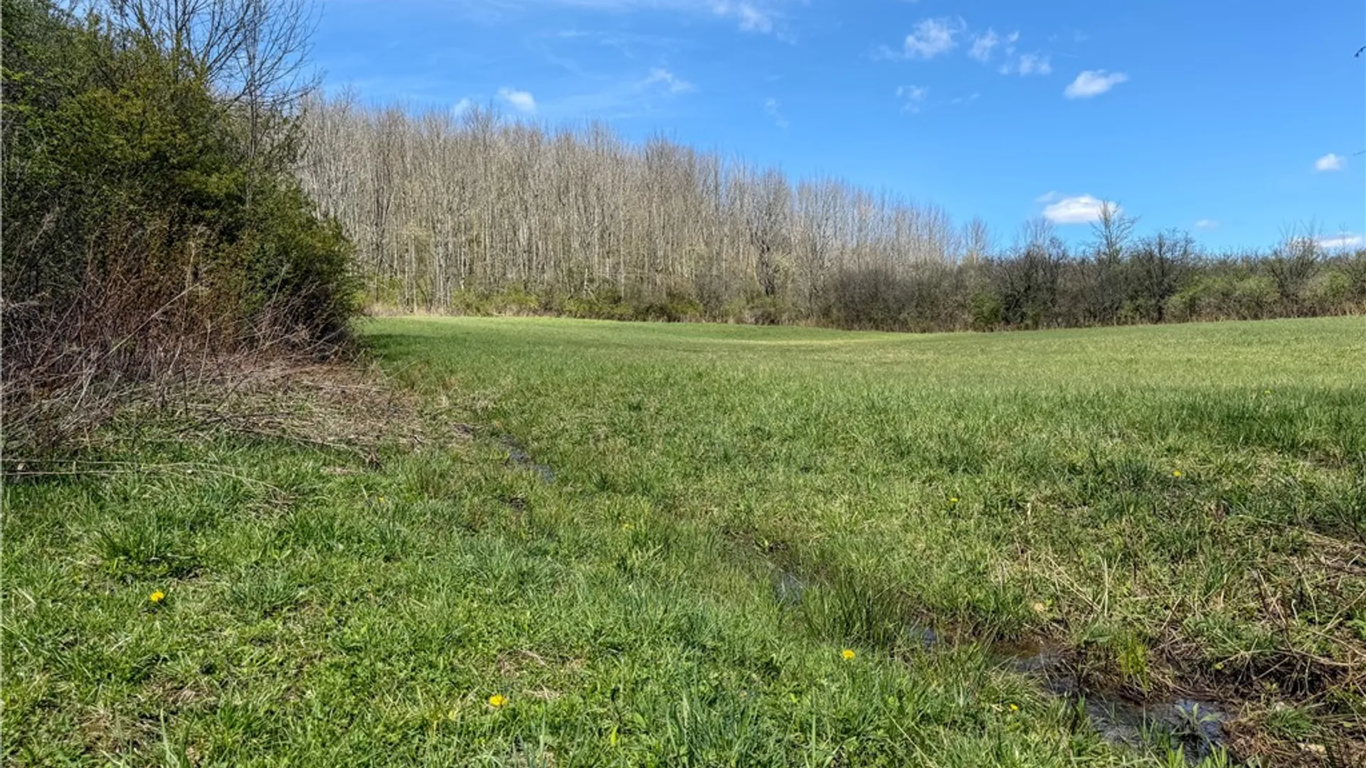 Property at VL WP01 County Road 16, Angelica, NY 14709 10