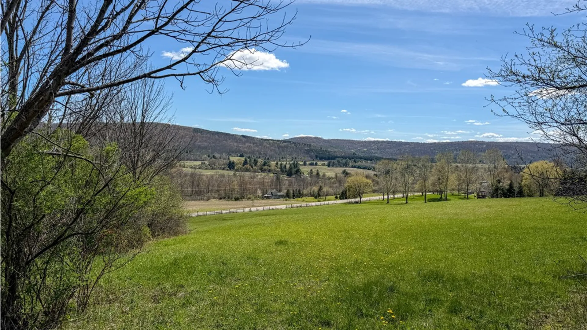 Property at VL WP01 County Road 16, Angelica, NY 14709 12