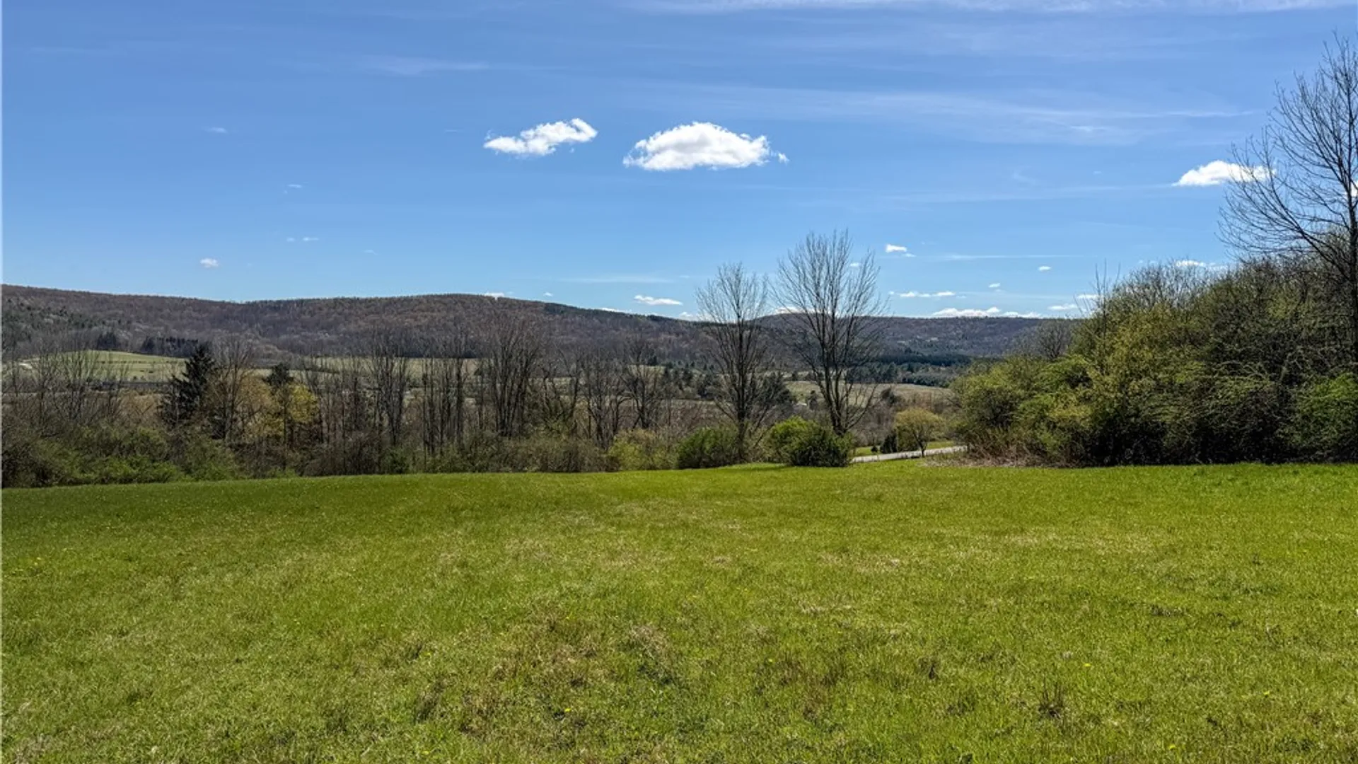 Property at VL WP01 County Road 16, Angelica, NY 14709 14