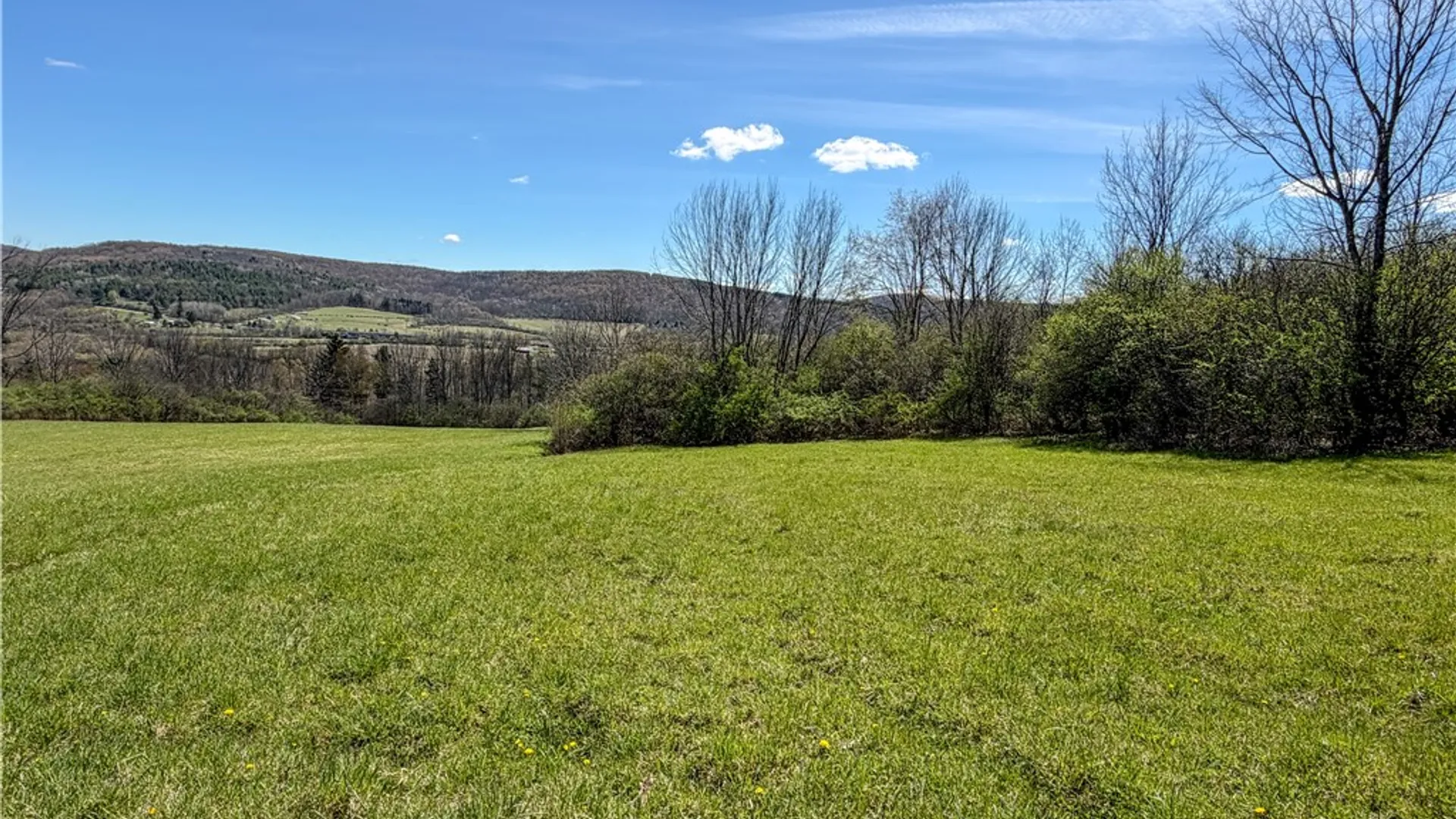 Property at VL WP01 County Road 16, Angelica, NY 14709 15