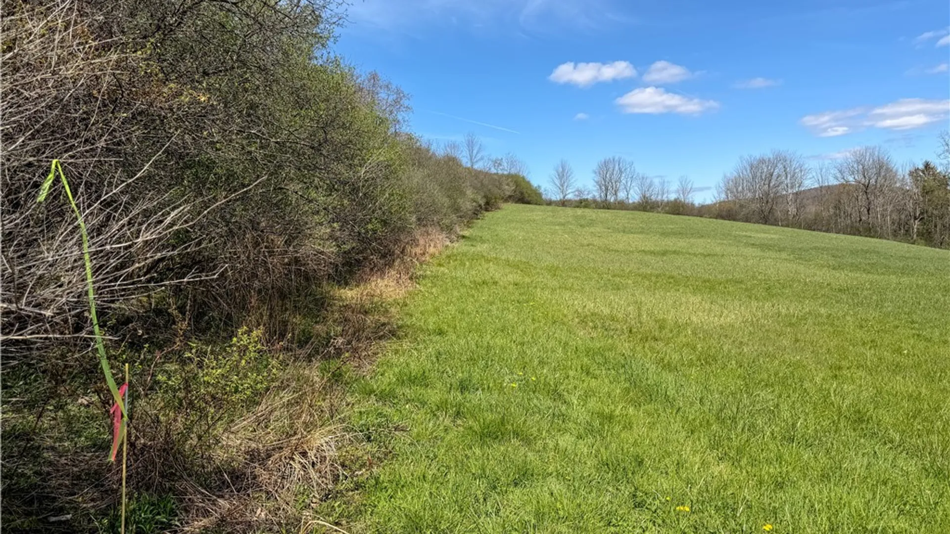 Property at VL WP01 County Road 16, Angelica, NY 14709 33