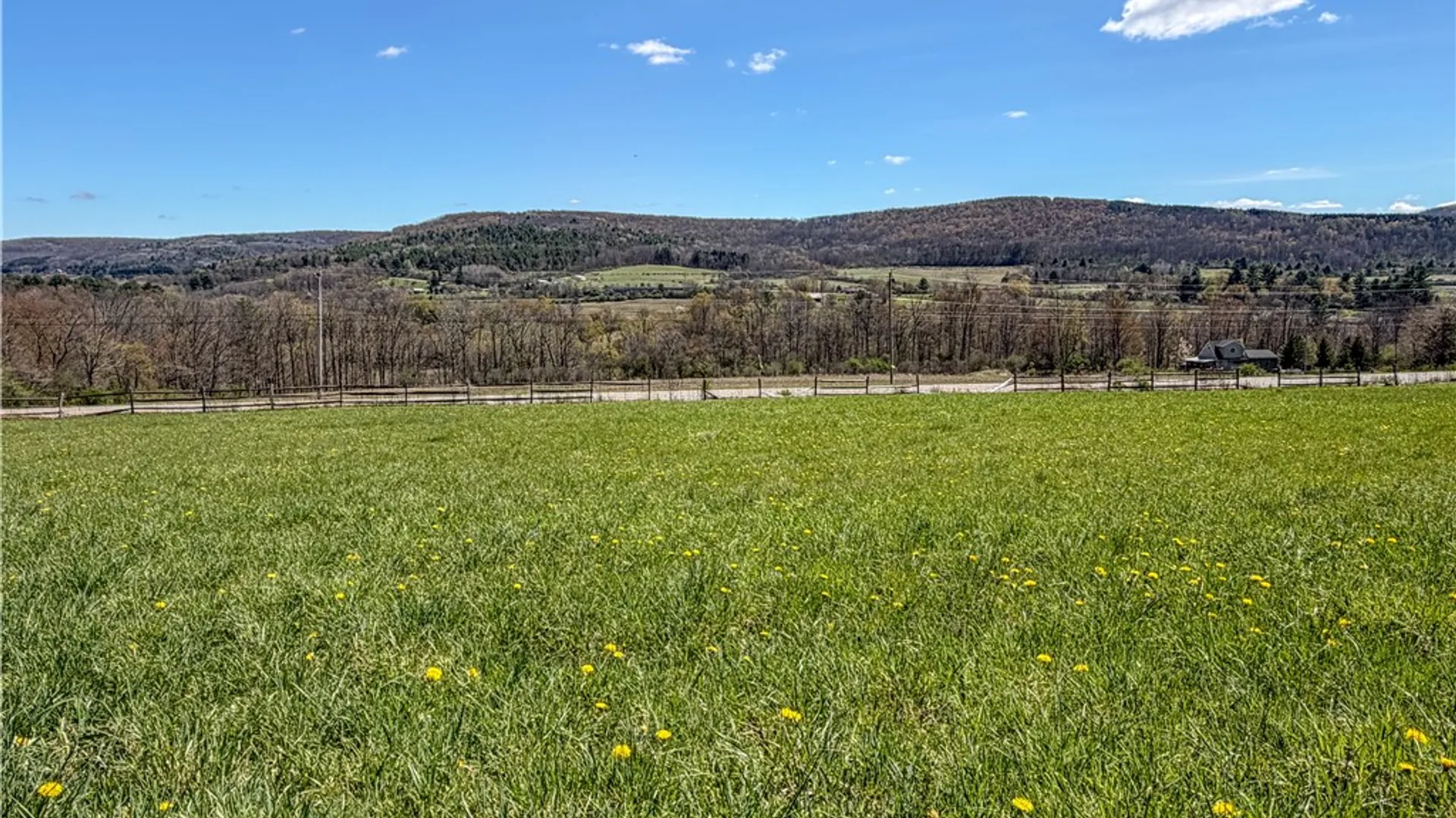 Property at VL WP01 County Road 16, Angelica, NY 14709 41