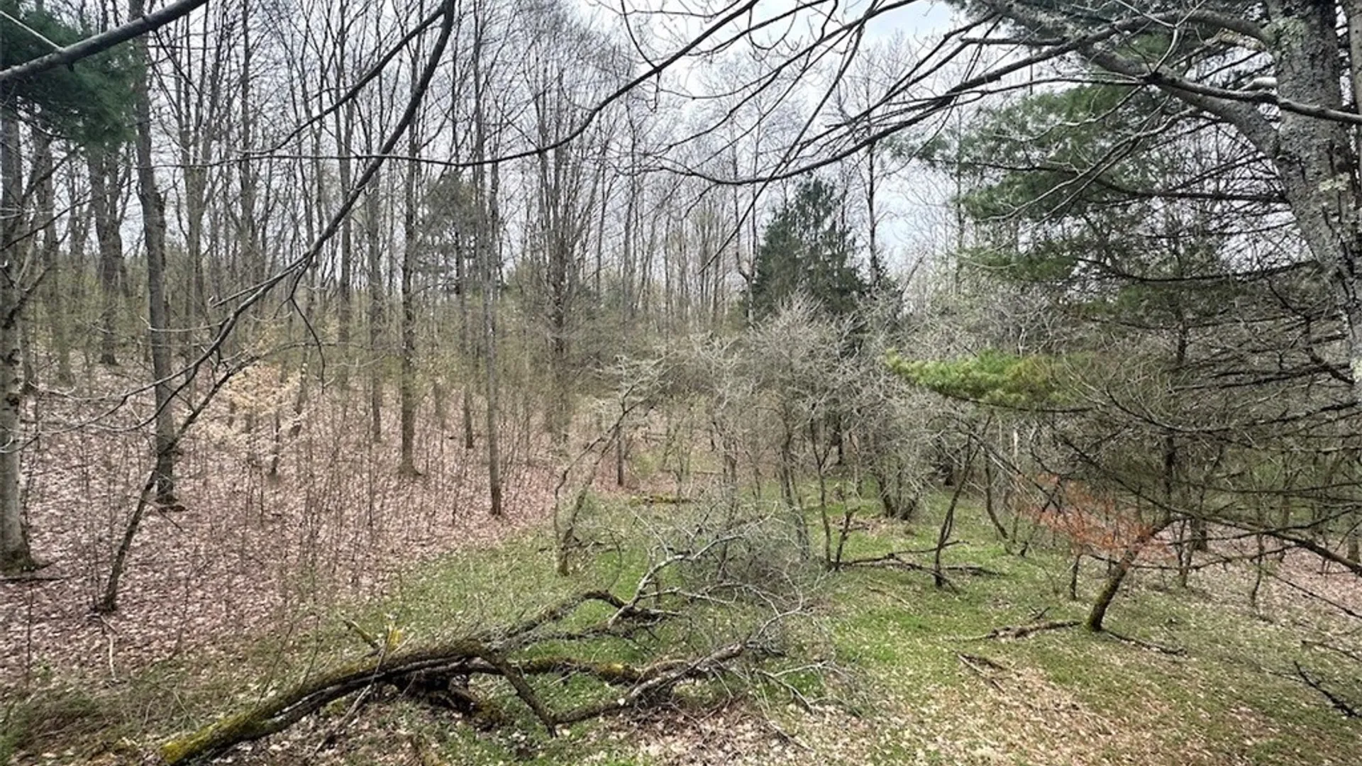 Property at 324 Main Street, Wirt, NY 14715 23