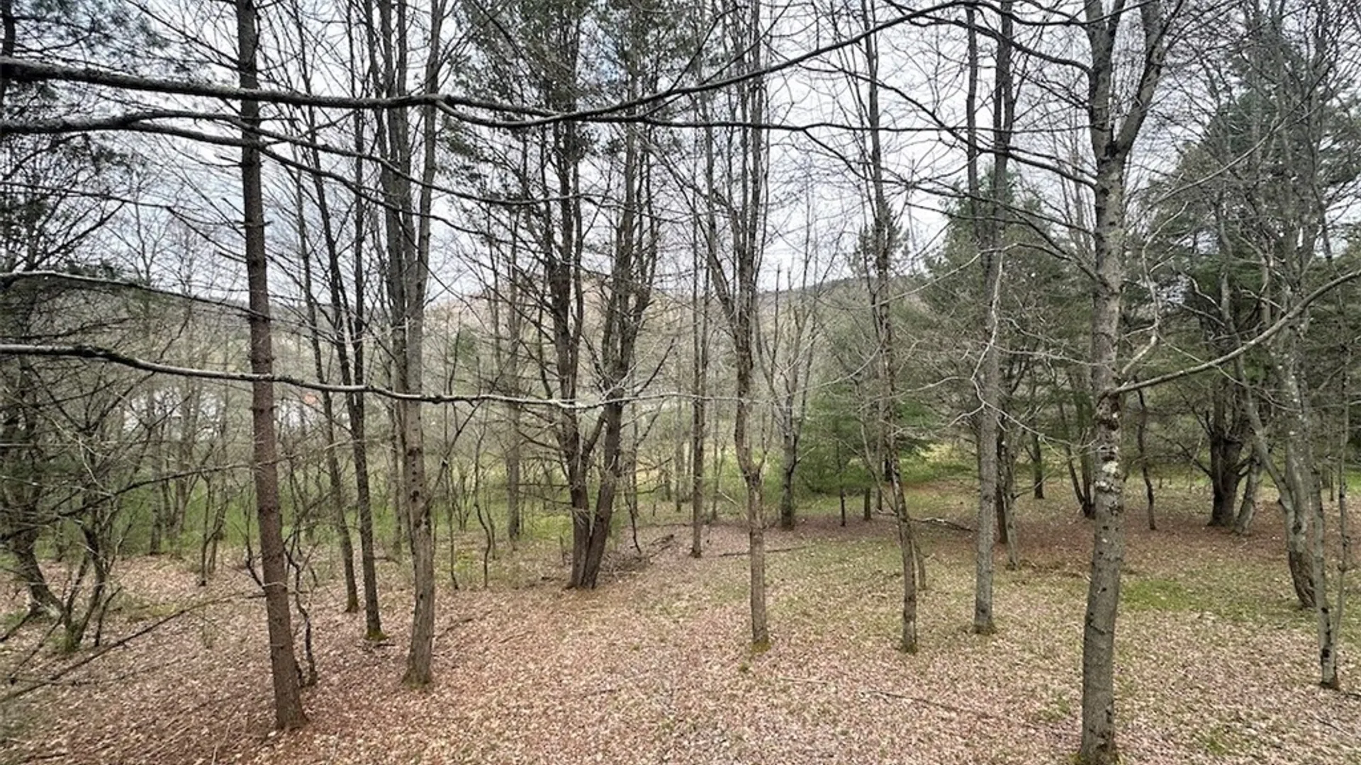 Property at 324 Main Street, Wirt, NY 14715 24