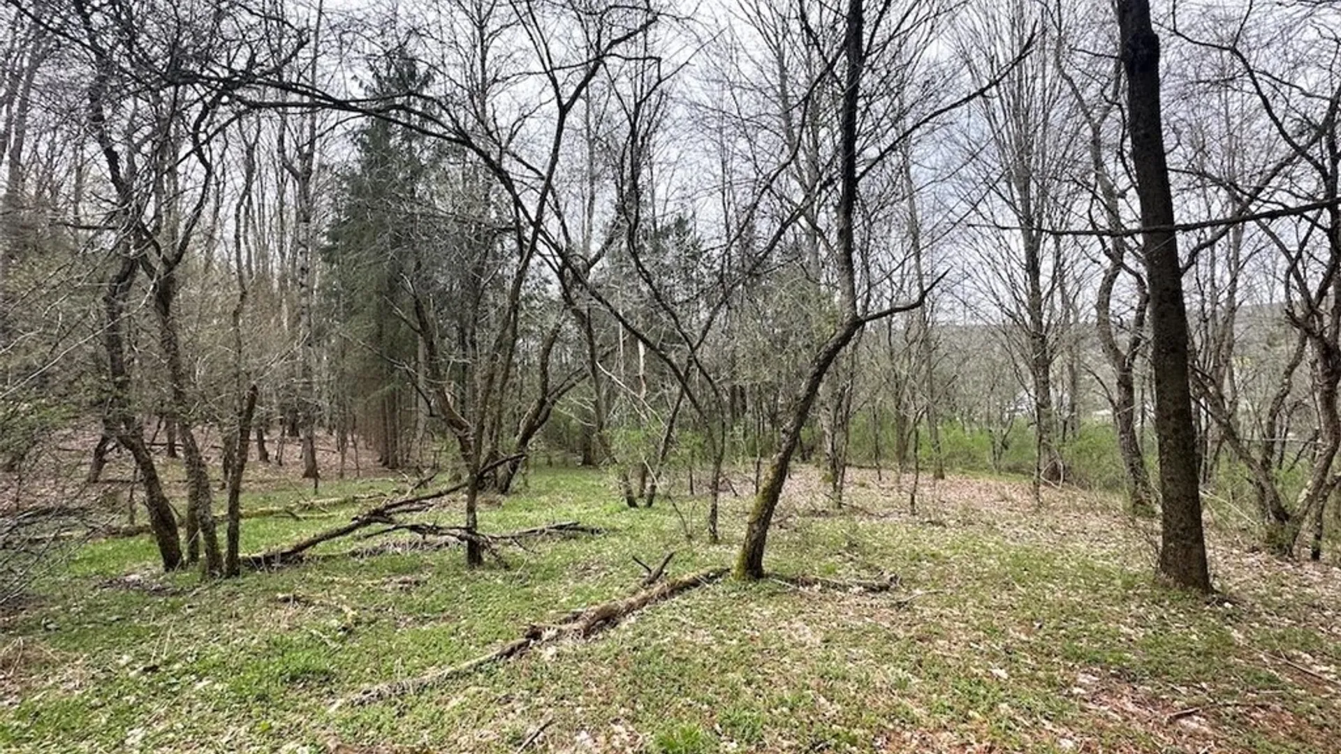 Property at 324 Main Street, Wirt, NY 14715 25