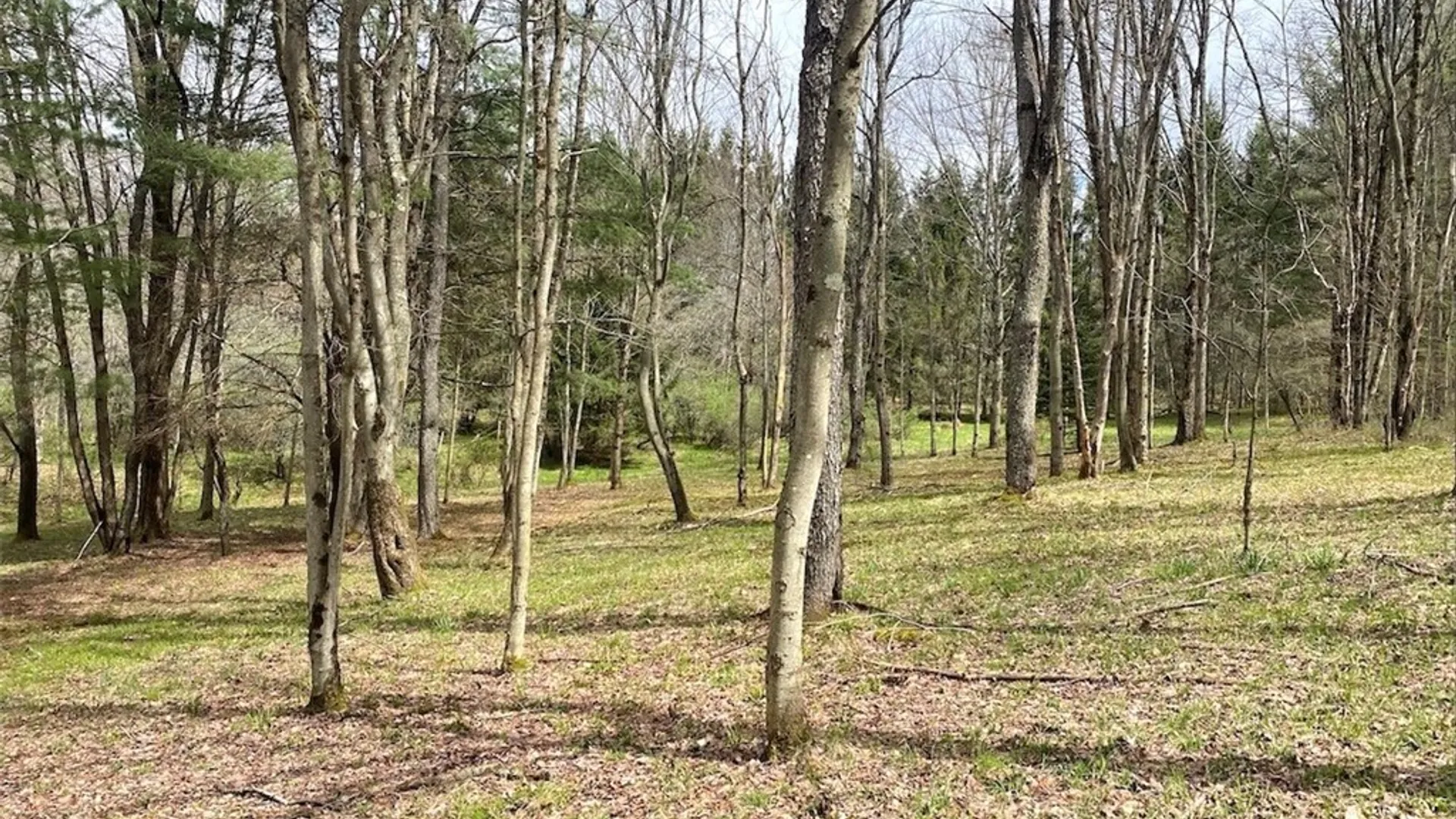 Property at 324 Main Street, Wirt, NY 14715 28