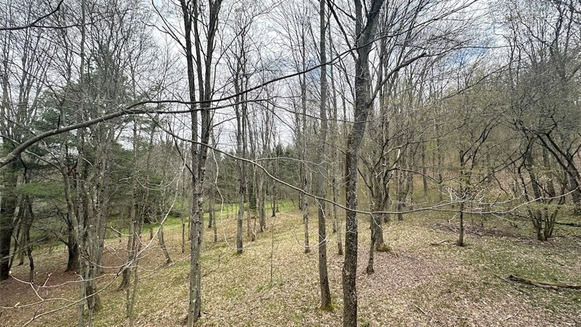 Property at 324 Main Street, Wirt, NY 14715 29