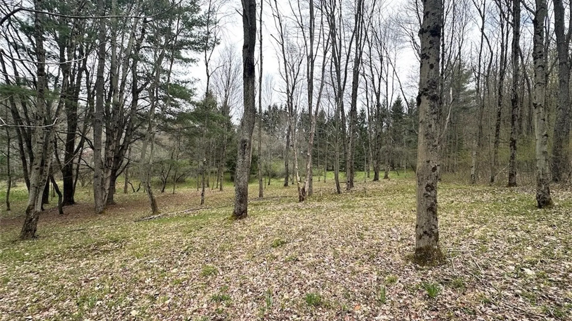 Property at 324 Main Street, Wirt, NY 14715 30
