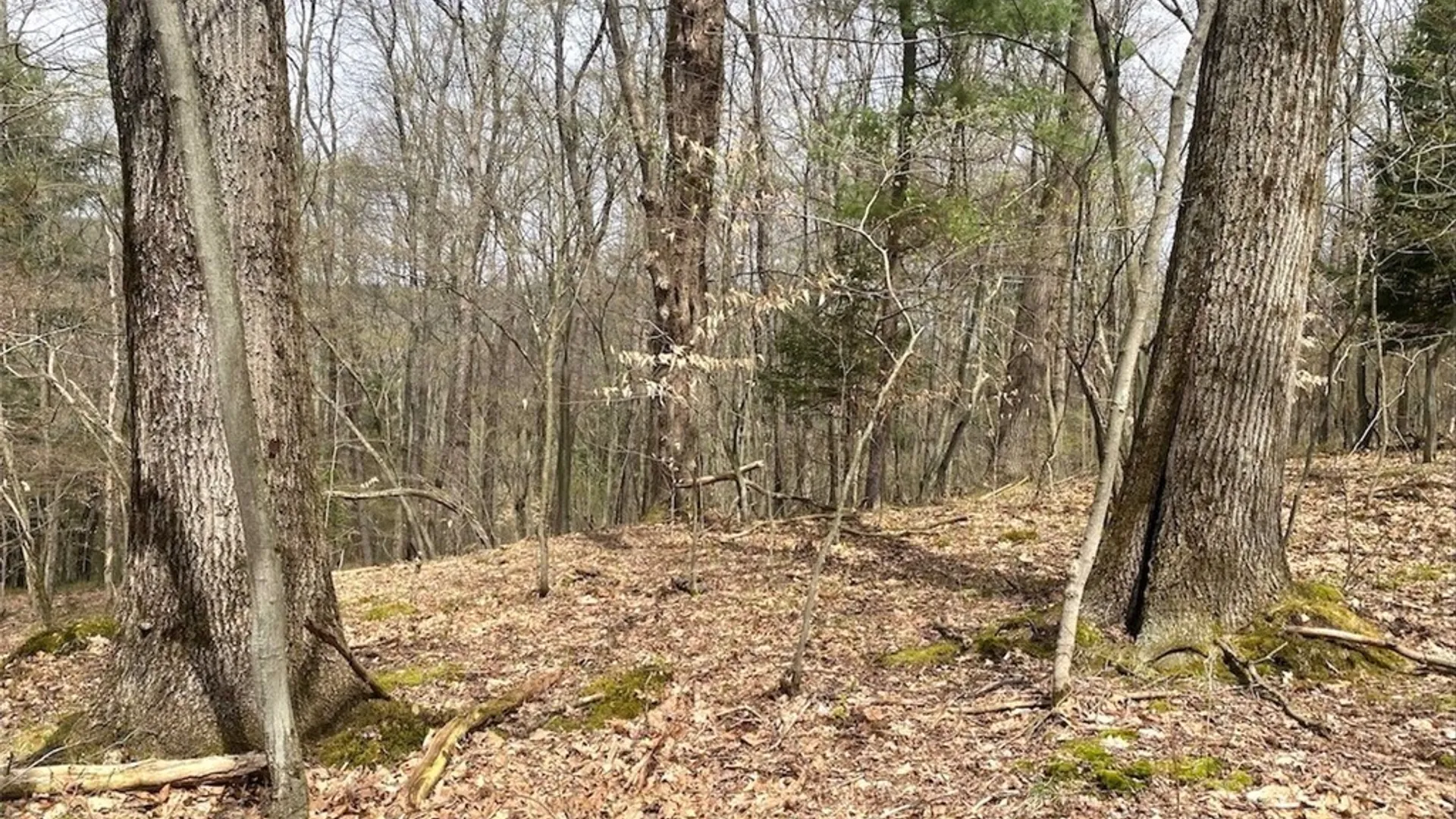 Property at 324 Main Street, Wirt, NY 14715 34