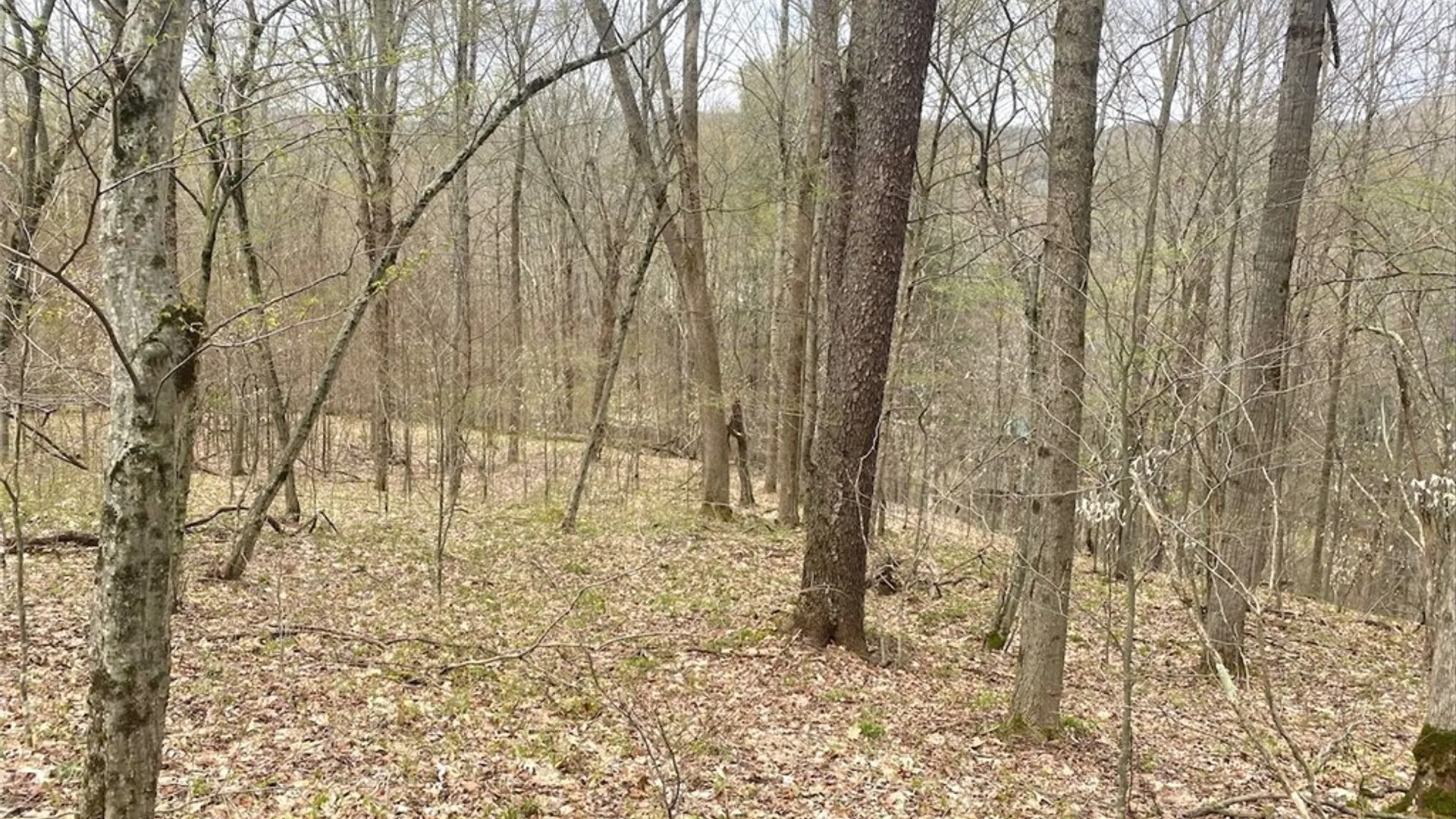 Property at 324 Main Street, Wirt, NY 14715 36