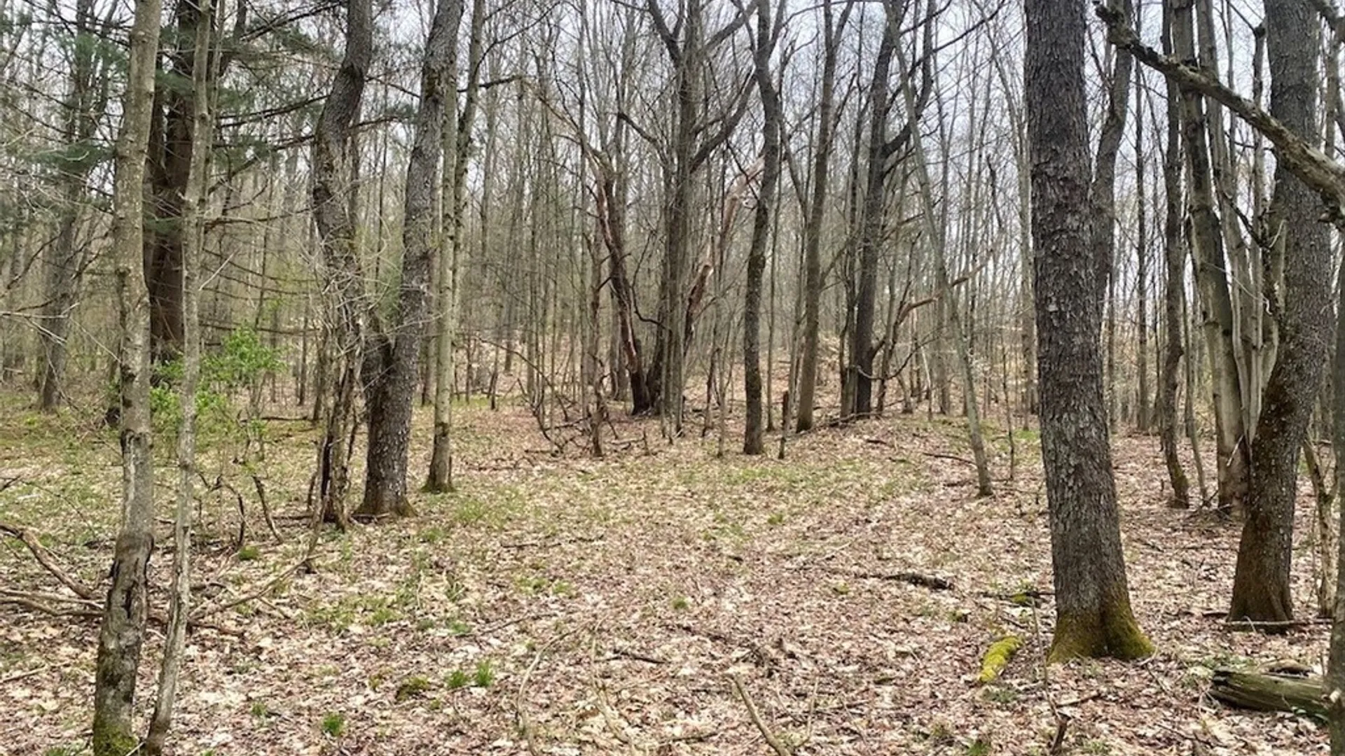 Property at 324 Main Street, Wirt, NY 14715 39