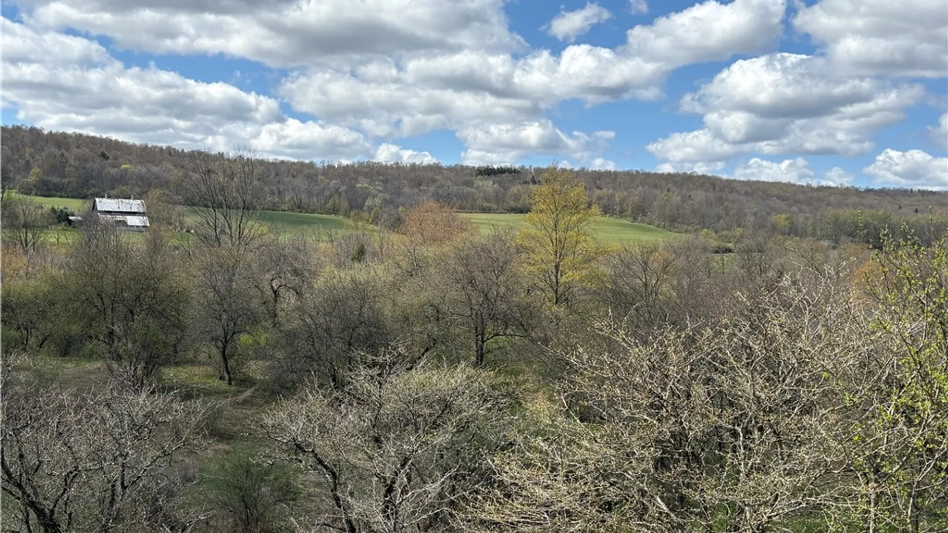 Property at 3838 Union Valley Road, Taylor, NY 13052 14