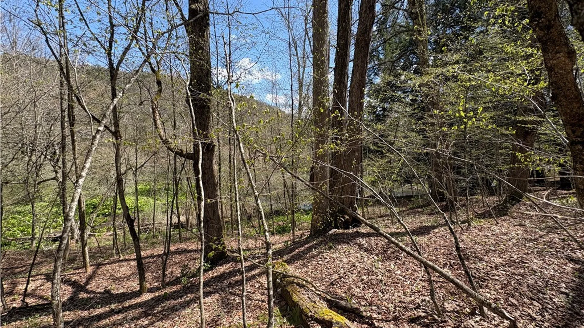 Property at 3838 Union Valley Road, Taylor, NY 13052 12