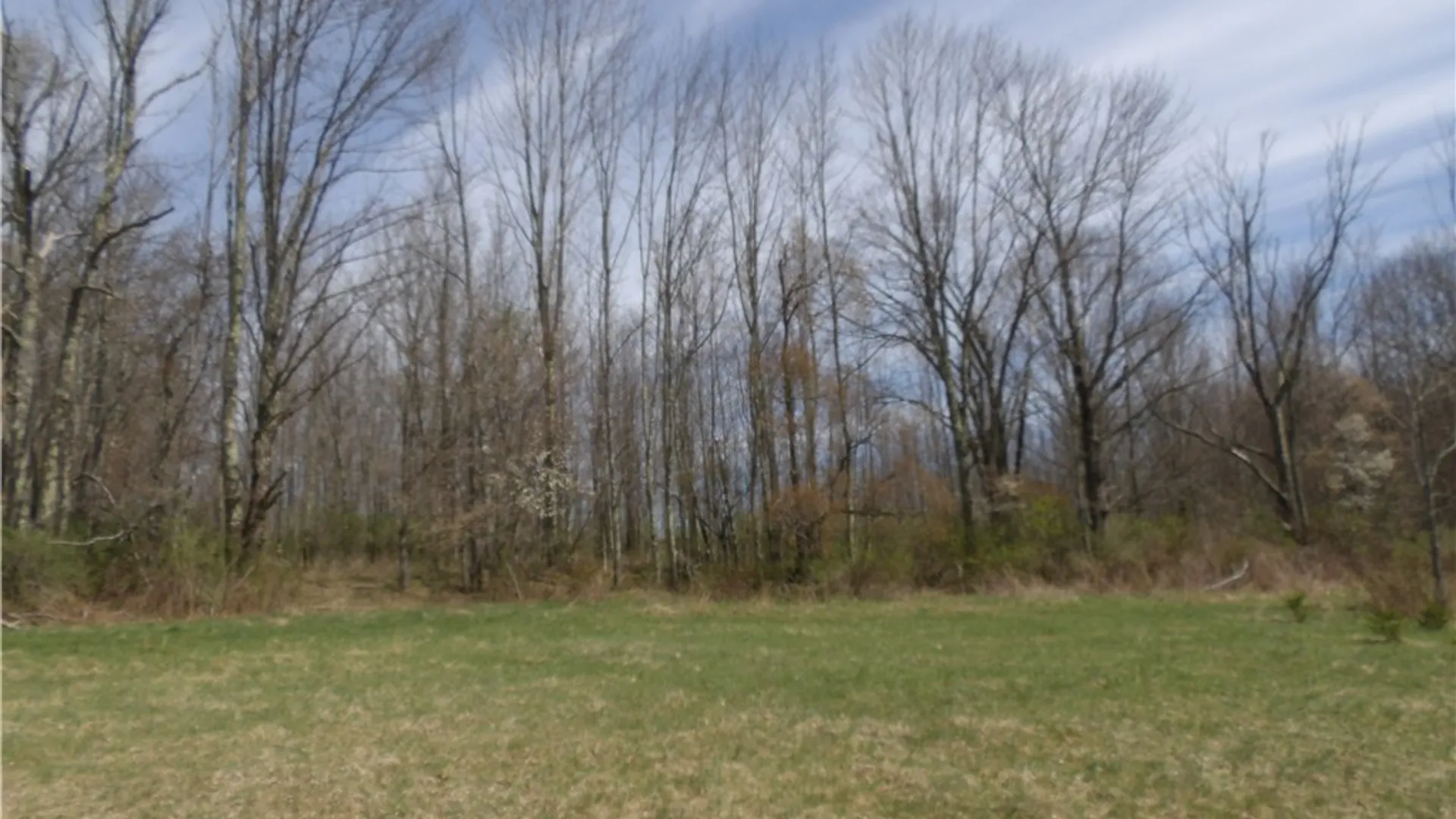 Property at Smith-Kingsman Road, German, NY 13801 20