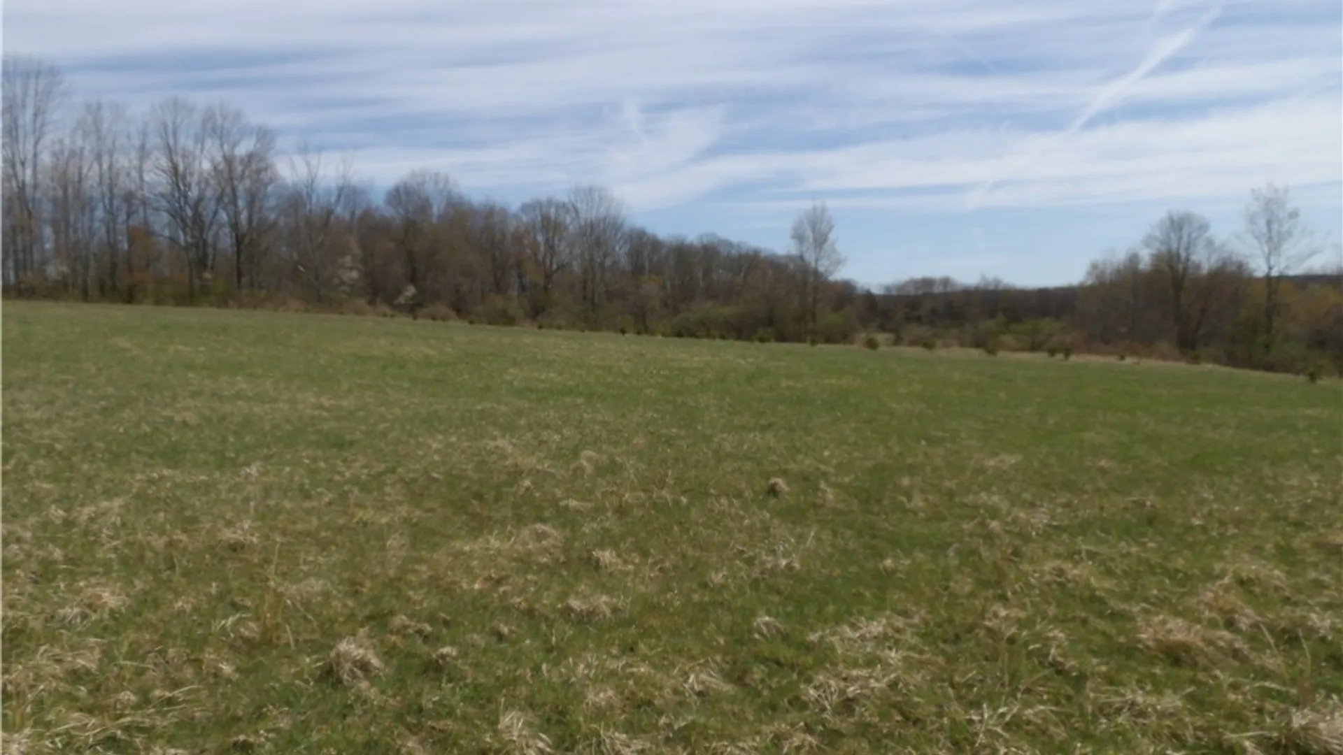 Property at Smith-Kingsman Road, German, NY 13801 21
