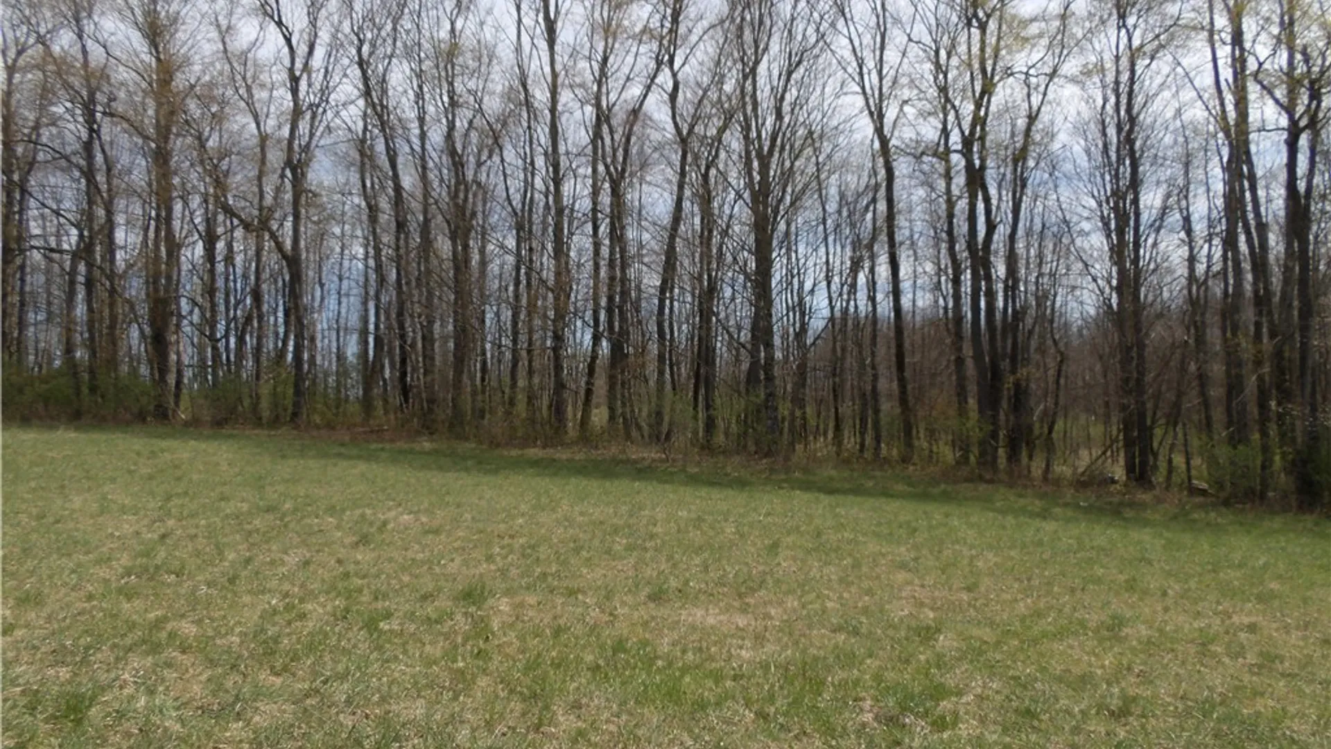 Property at Smith-Kingsman Road, German, NY 13801 24