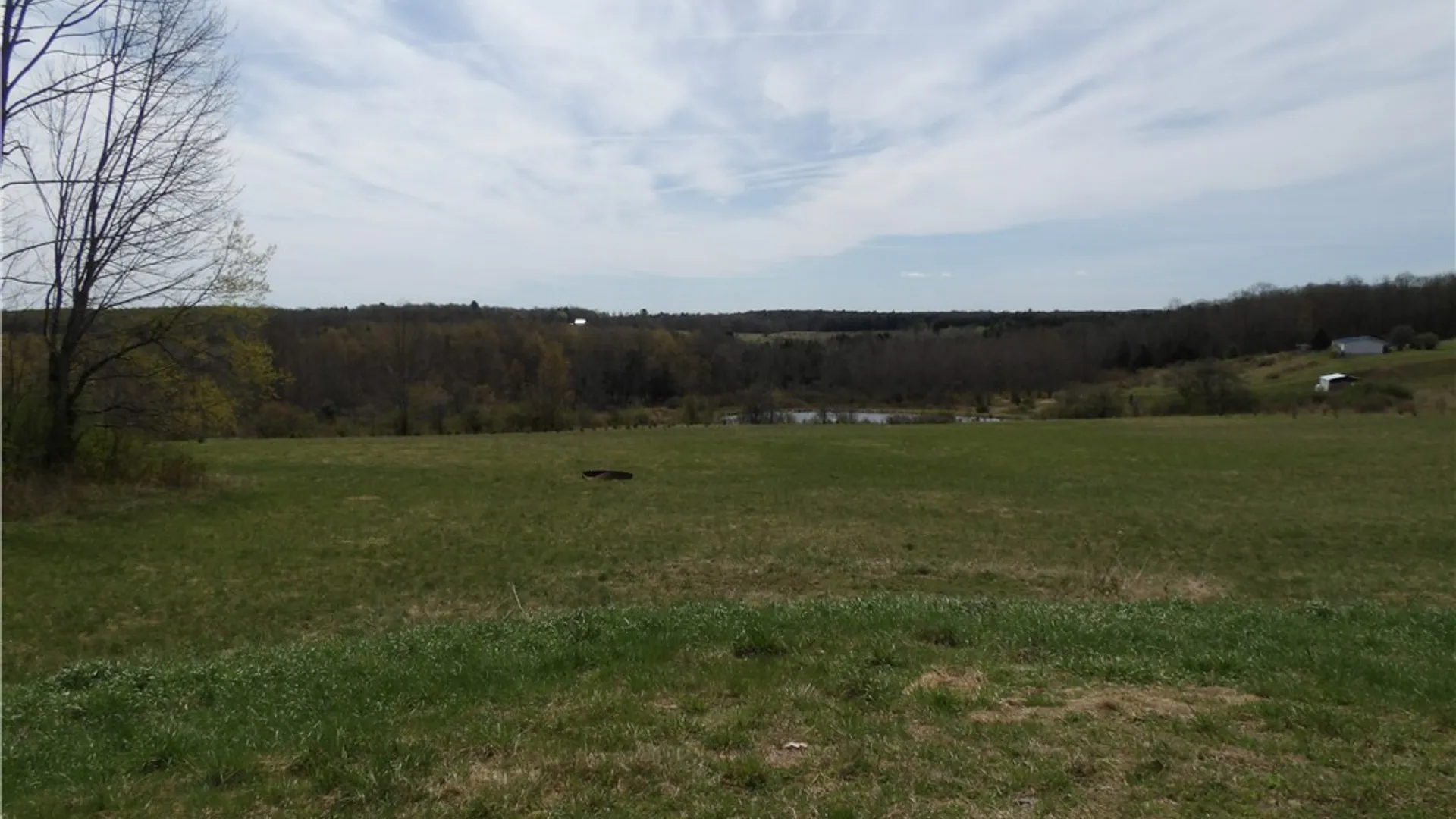 Property at Smith-Kingsman Road, German, NY 13801 25