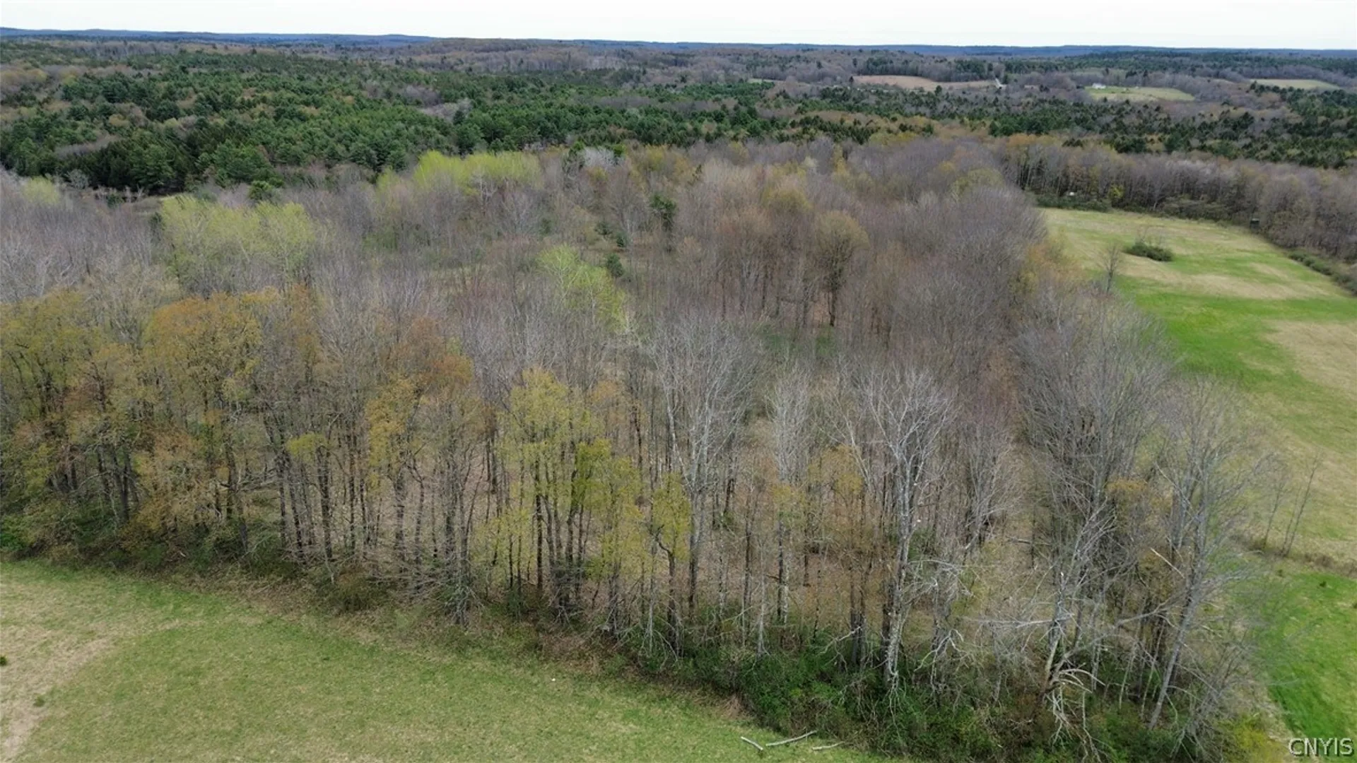Property at Smith-Kingsman Road, German, NY 13801 26