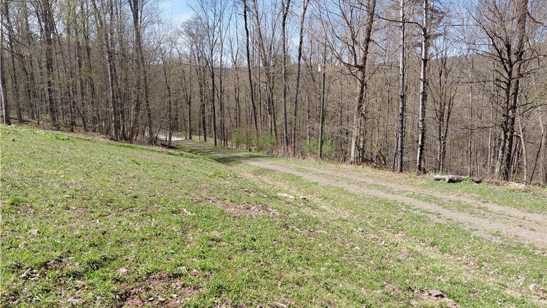 Property at 2930 Blue School Road, Franklin, NY 13775 18