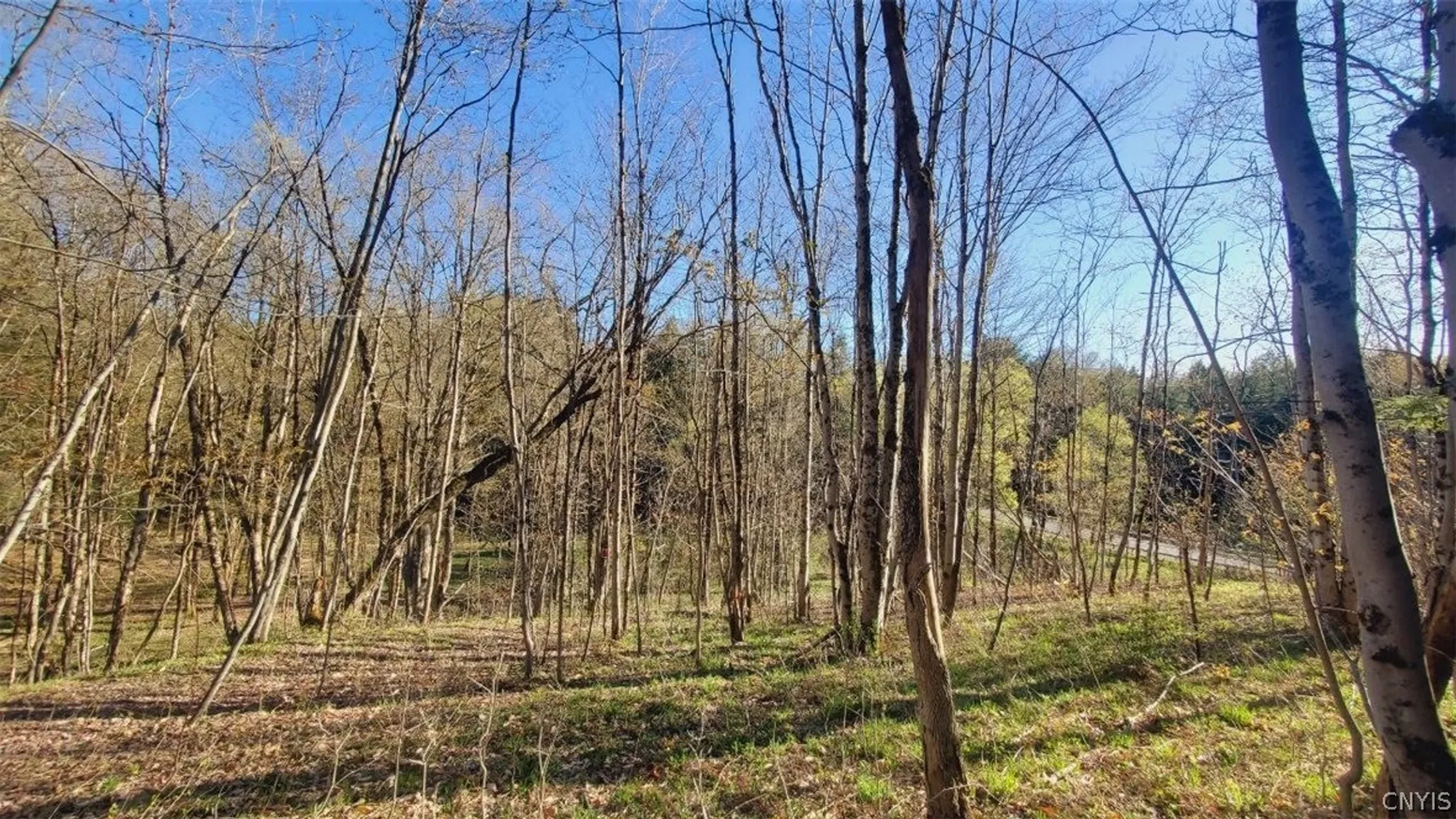 Property at Walker road, Deerfield, NY 13502 19