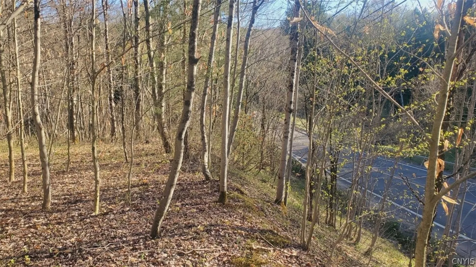 Property at Walker road, Deerfield, NY 13502 21